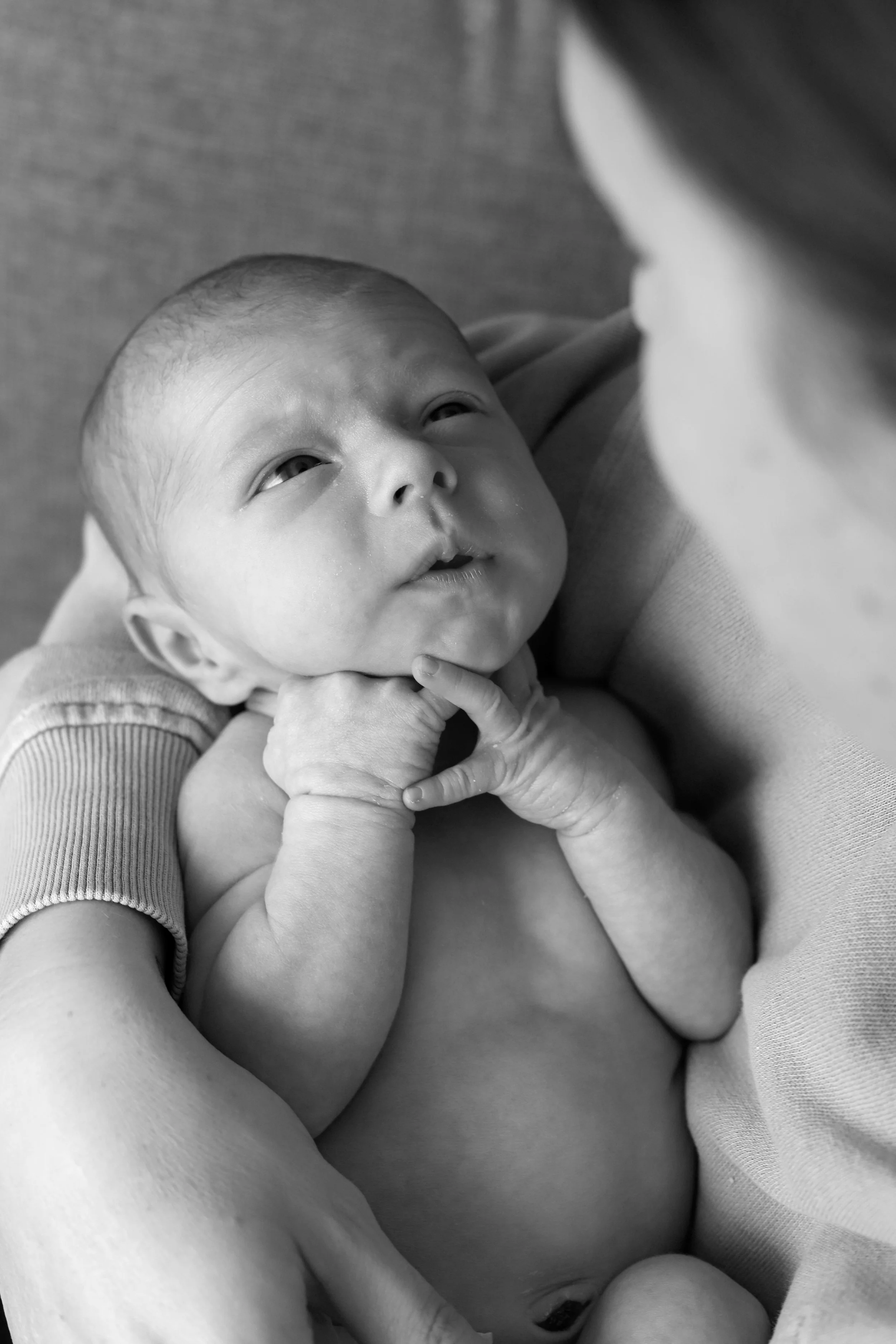 Black and white photo of a newborn baby cradled in someone's arms, looking upward with a curious expression.