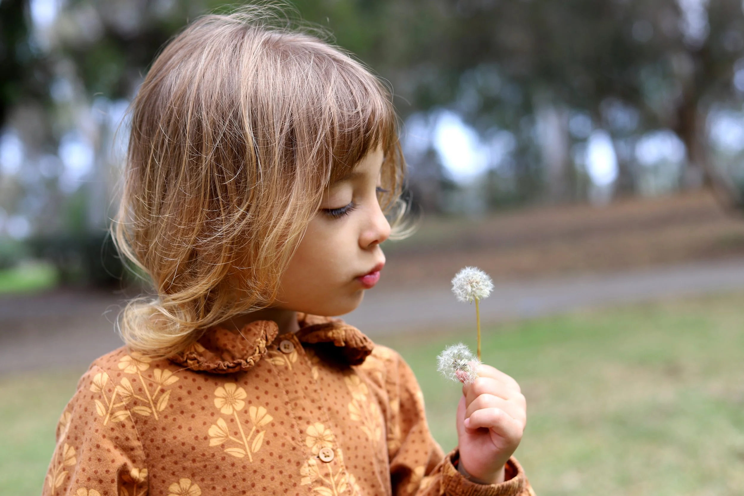 A young girl with shoulder-length wavy light brown hair is outdoors, holding a dandelion puff and looking at it with a gentle expression. She is wearing a brownish-orange shirt with a floral pattern.