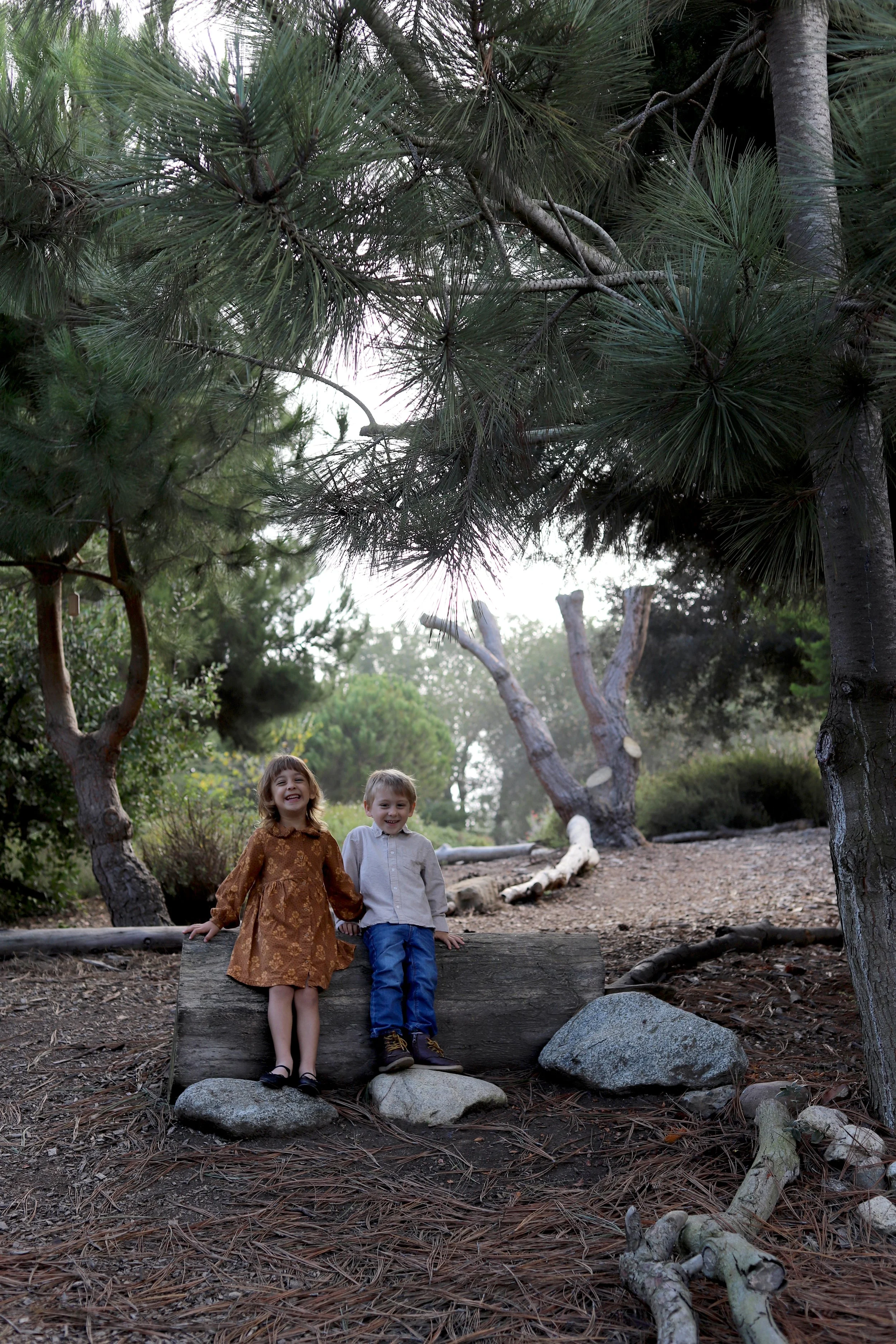 Two children, a girl and a boy, sitting on a large log in a forested area with trees and rocks, smiling and holding hands.