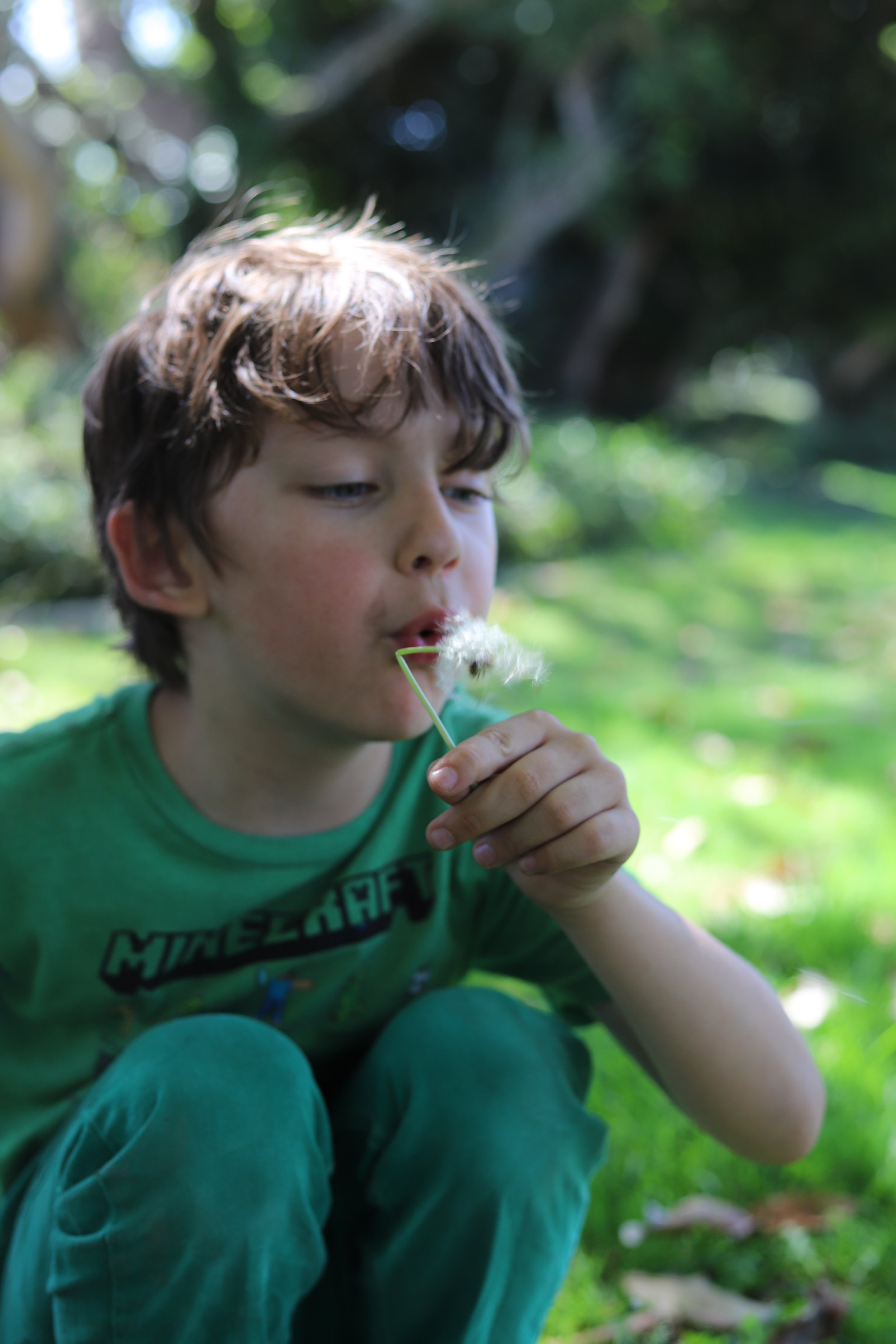 Young boy with brown curly hair blowing on a dandelion seed head outdoors in a grassy area with trees in the background.