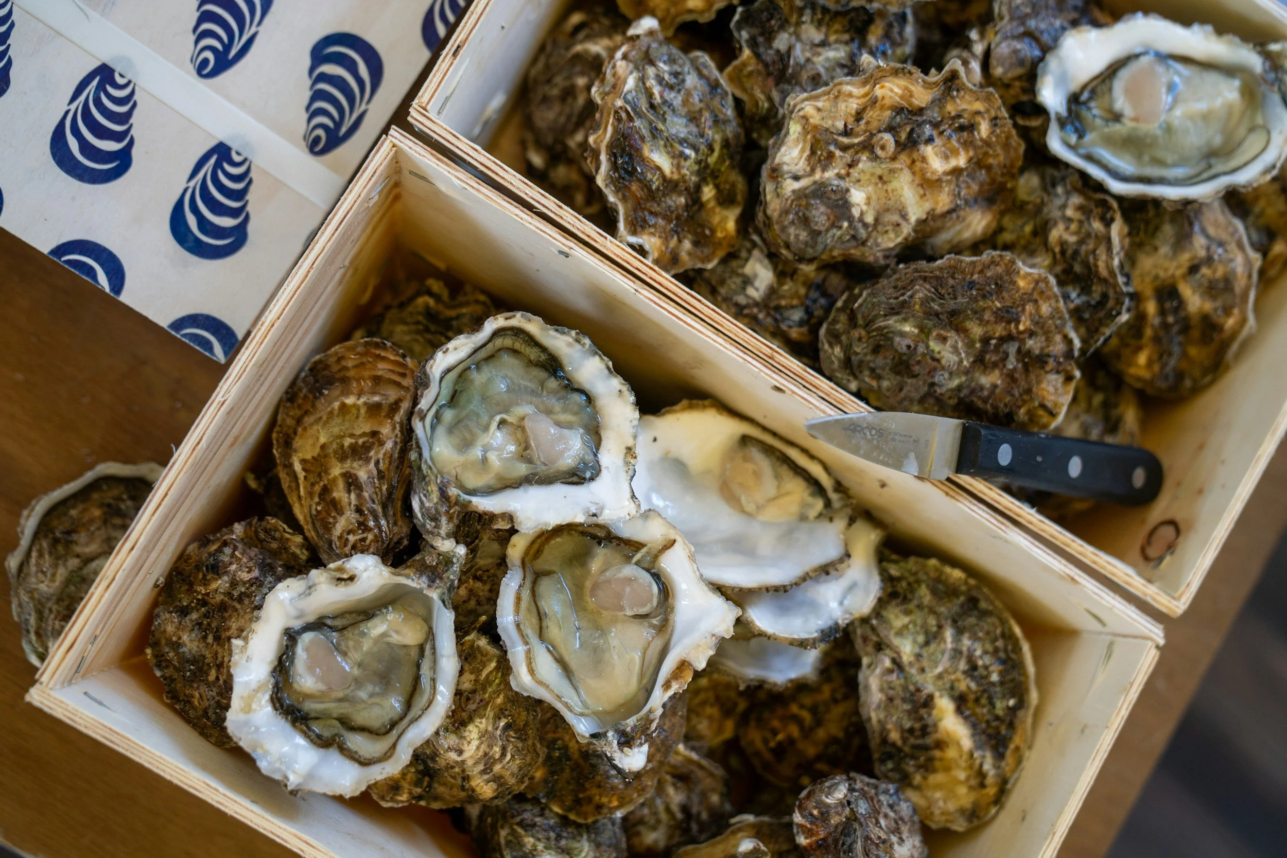 Suffolk County Oyster Jamboree and Frolic