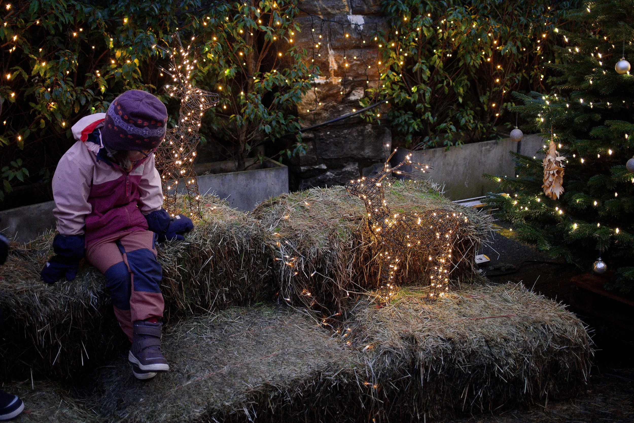 Enfant en manteau d’hiver assis sur une botte de foin près d’un sapin décoré et de guirlandes lumineuses — Photographe lifestyle à La Réunion