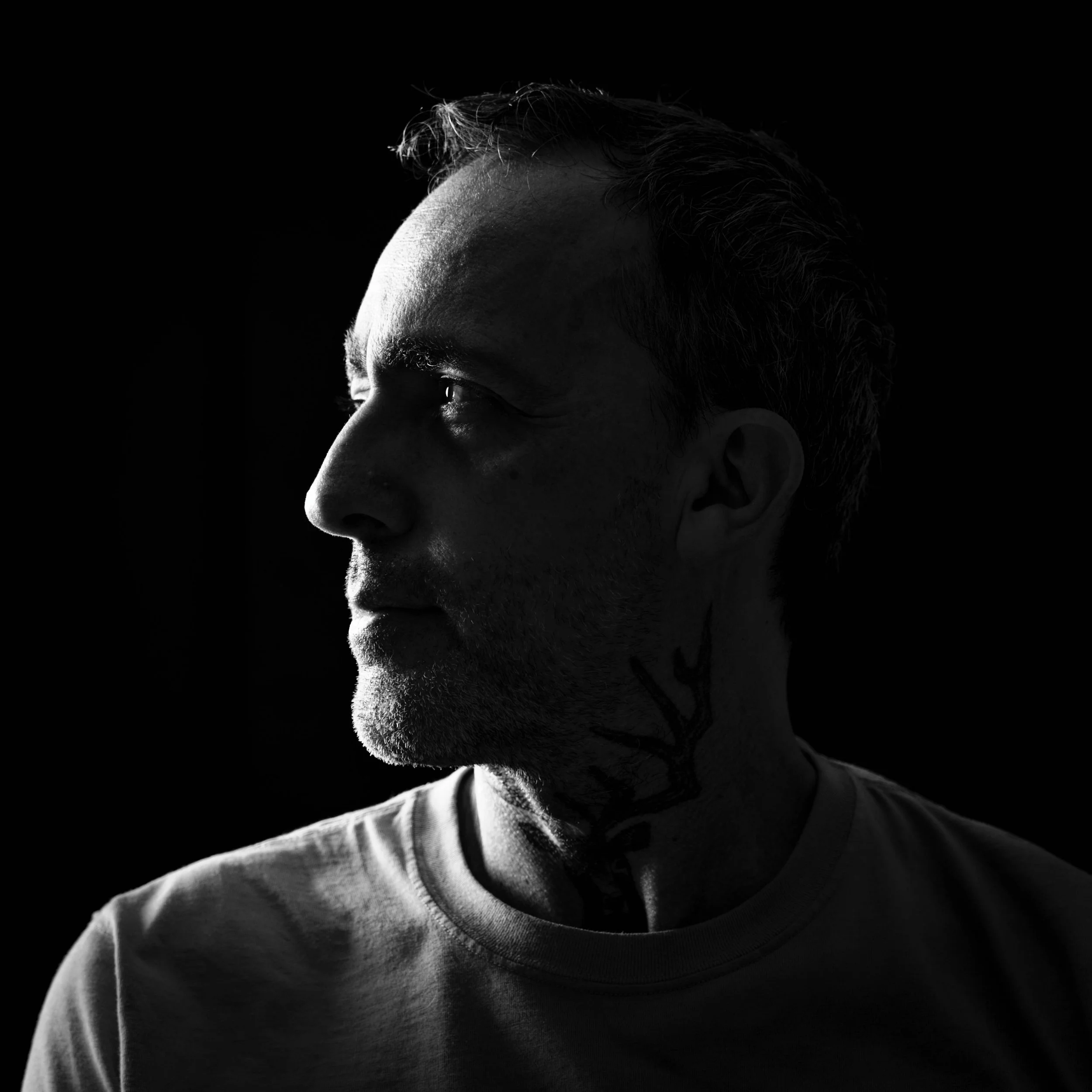 Stéphane Nicolas Dujardin Profil