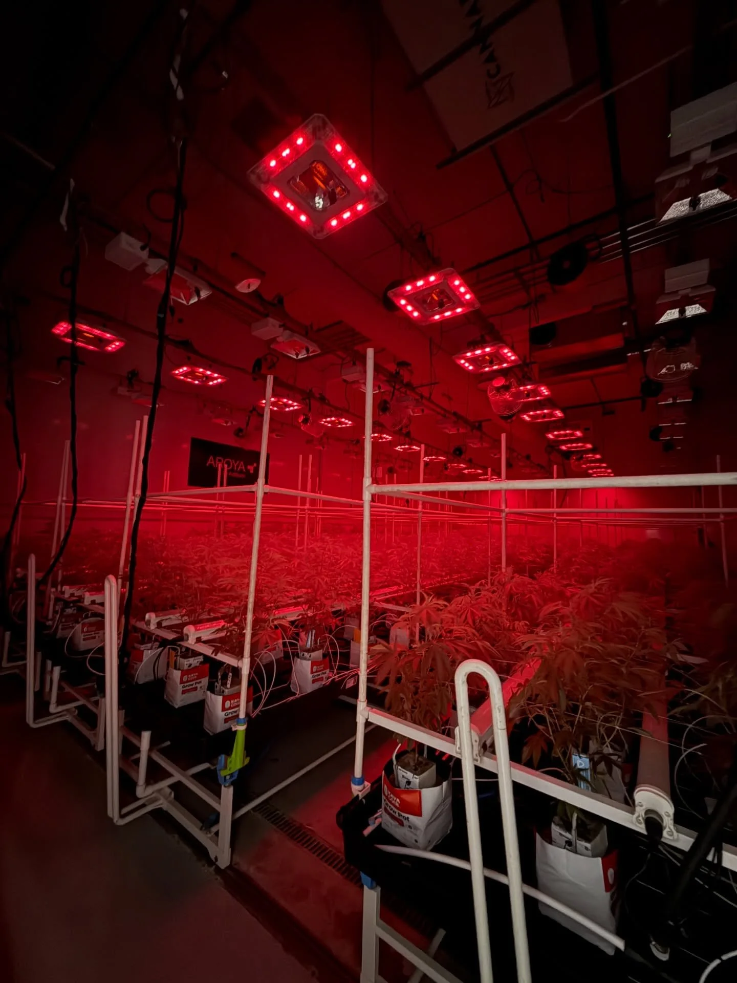 🔴 HYBRIDS @matrixlighting.official 🟨
Proud to be part of innovation @kevinvu304 

Can&rsquo;t wait to see what @madtrichome &amp; team can do behind the wheel 🚀

@indoorsunhydro_ 
@powrsupply