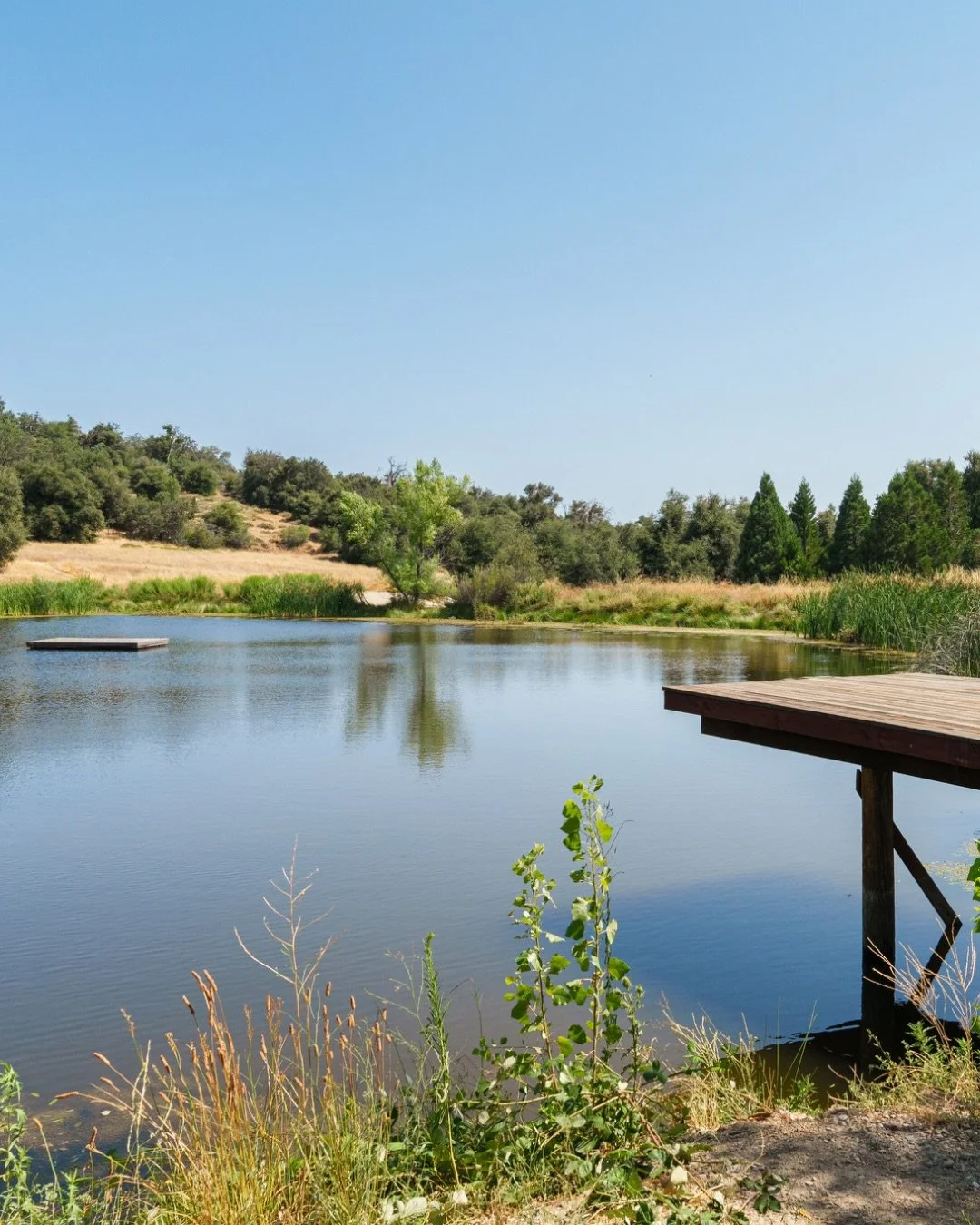 From ancestral land to agricultural legacy.

Bailey Creek Ranch is more than a peaceful retreat&mdash;it&rsquo;s layered with story: Indigenous stewardship, gold-rush grit, orchard roots, and regenerative revival. We&rsquo;re honored to care for it t