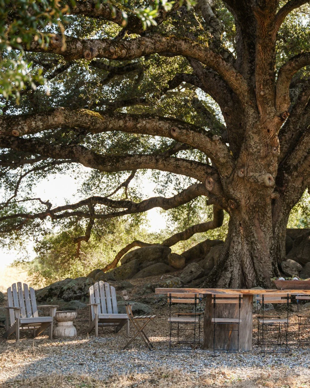 The holidays are over. The year has begun. Time to regroup.

Gather your team, your family, or just your own thoughts. Bailey Creek Ranch offers the perfect backdrop to plan out your year without the distractions of the city. High-speed creative thin