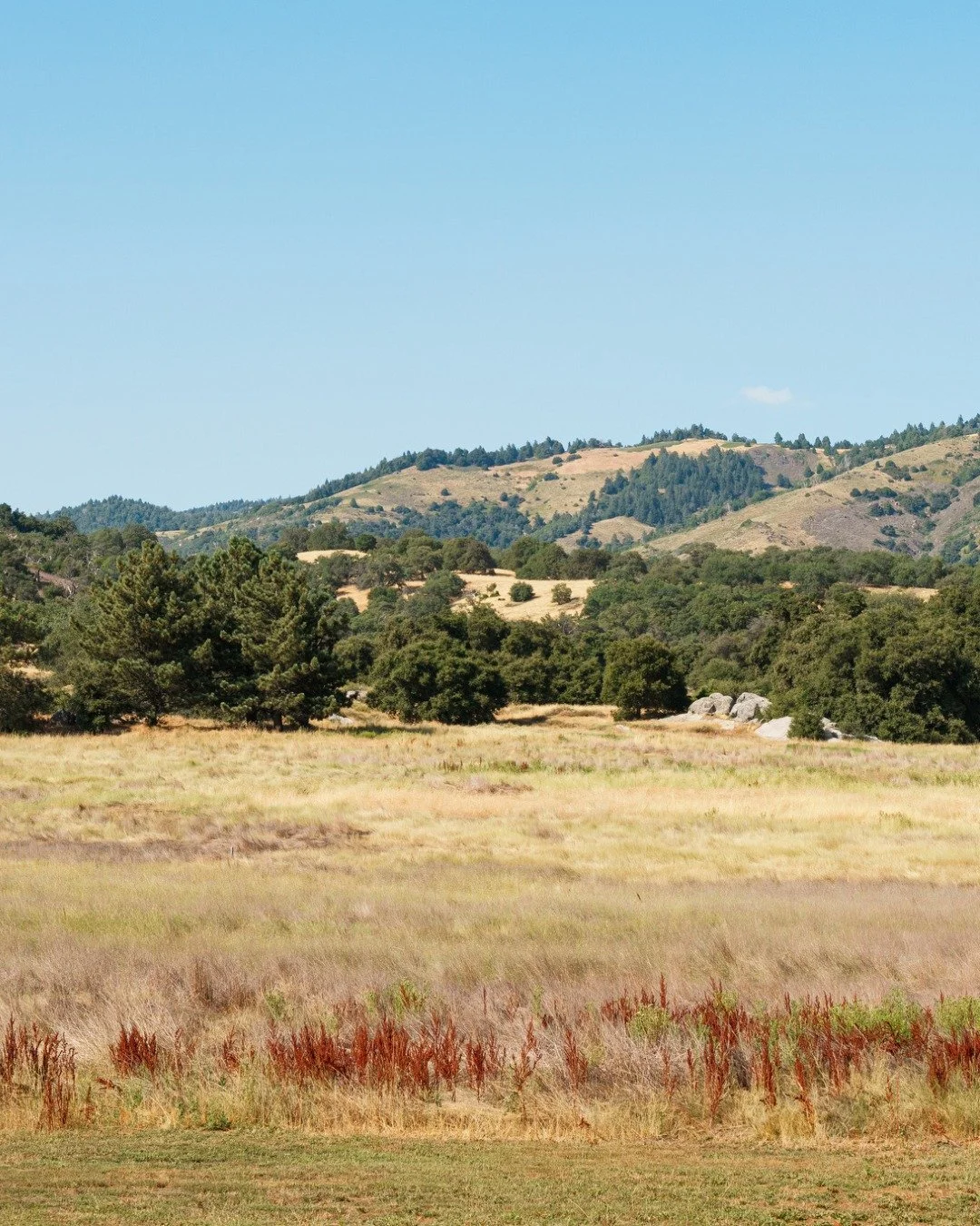Skip the crowded beaches this Spring Break. Swap them for 180 acres of private mountain air. 🌲

If you&rsquo;re looking for a place where the kids can roam free and the adults can actually relax, the Main House at Bailey Creek is waiting. Spend your