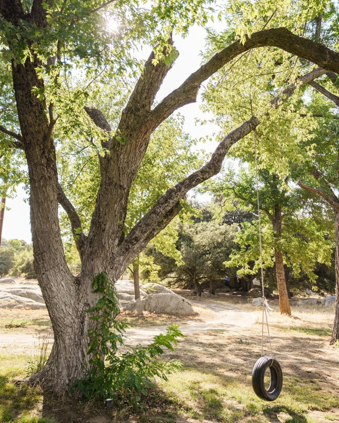 The kind of afternoons you never outgrow. 

Our 180-acre playground is ready for spring. Whether you're bringing the whole family or just looking to reconnect with your own inner child, there&rsquo;s a spot under the oaks waiting for you.

Now bookin