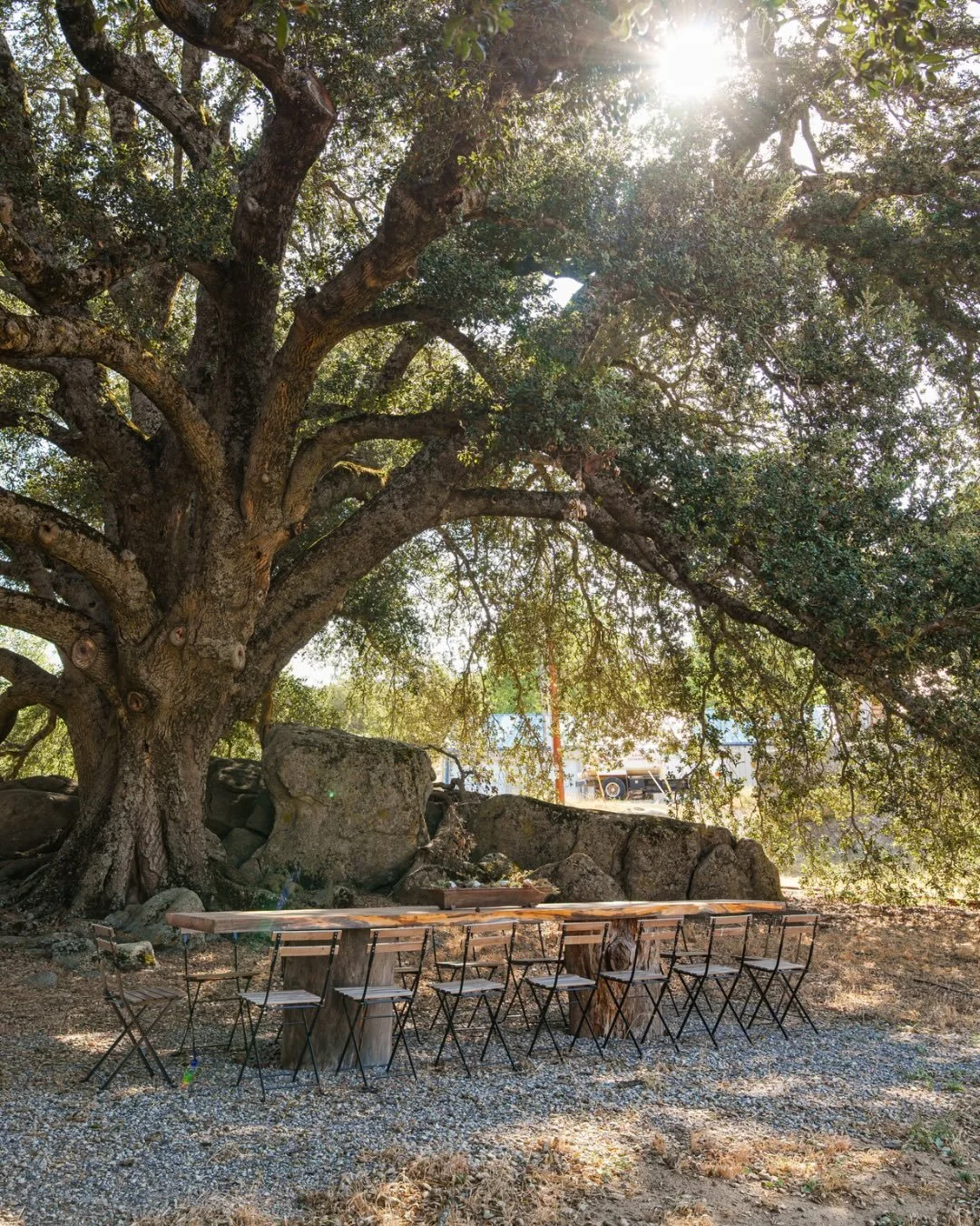Think of us as your own private summer camp. 

With the summer season officially kicking off, it&rsquo;s time to lock in the venue for your upcoming gatherings. Whether you are hosting a family reunion, a milestone birthday, a wellness retreat, or a 