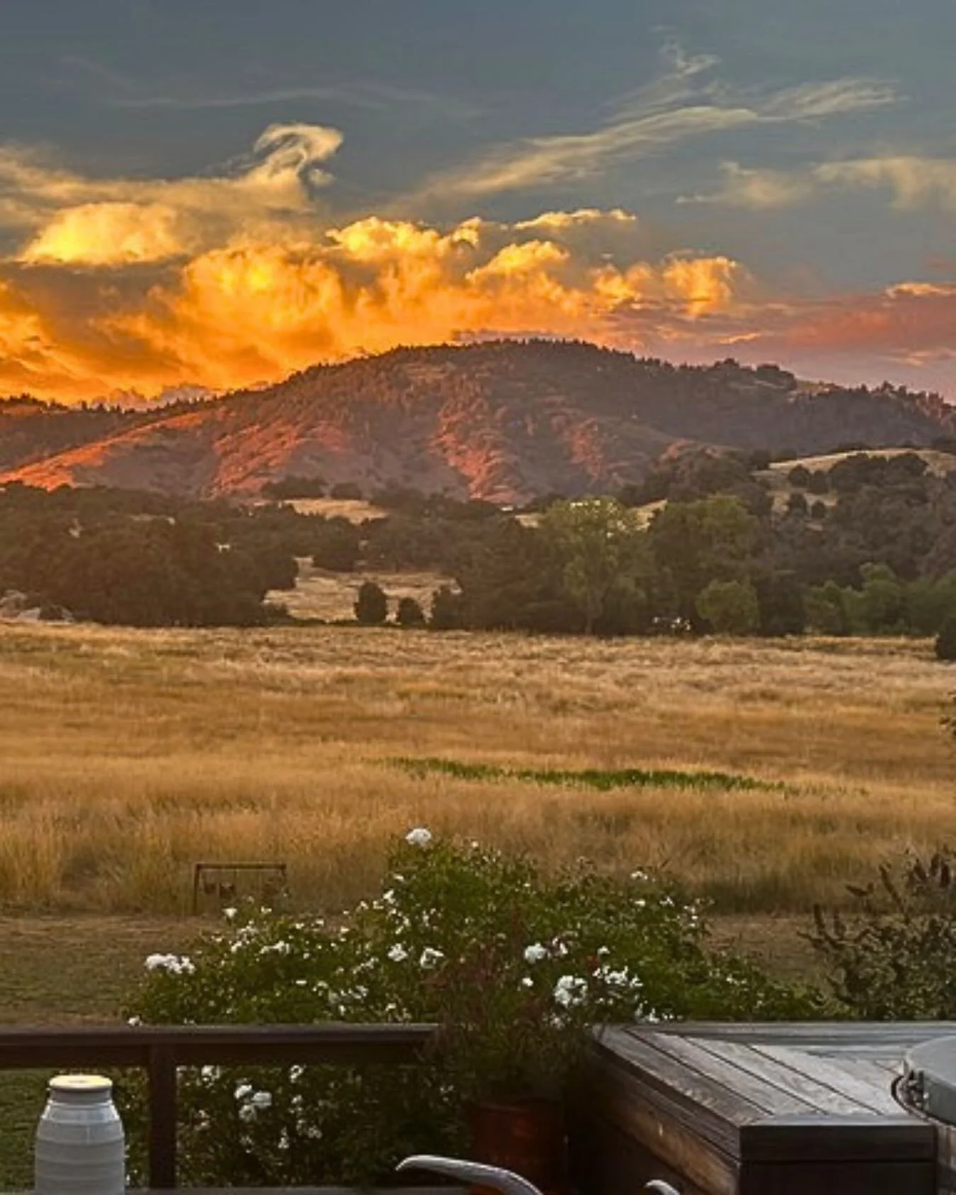 We take the art of doing absolutely nothing very seriously around here. 

In a world that constantly tells you to go faster, we built a 180-acre sanctuary designed to help you hit the brakes. Whether your version of &ldquo;nothing&rdquo; involves hik