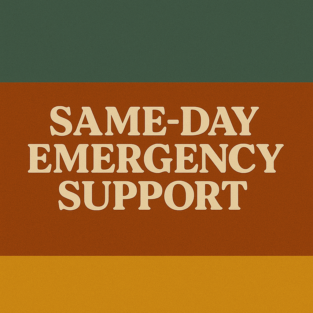 Same-Day Emergency Support Image.png