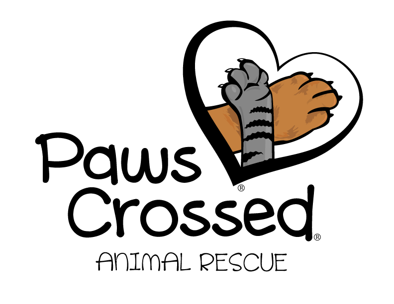 914 Epoxy proudly supports Paws Crossed Animal Rescue helping animals find loving homes