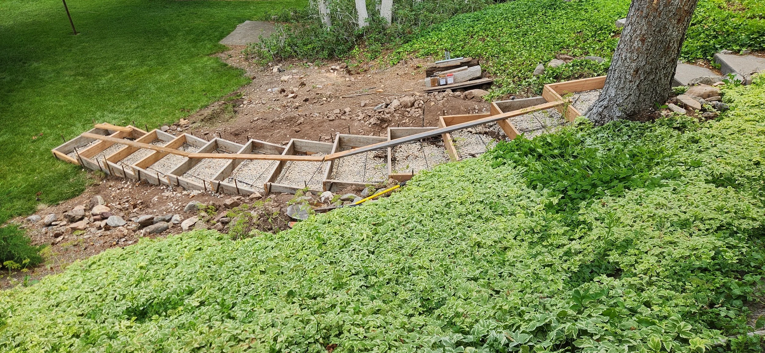 Garden with new wooden tiered garden bed being constructed around a large tree, surrounded by green plants and grass.