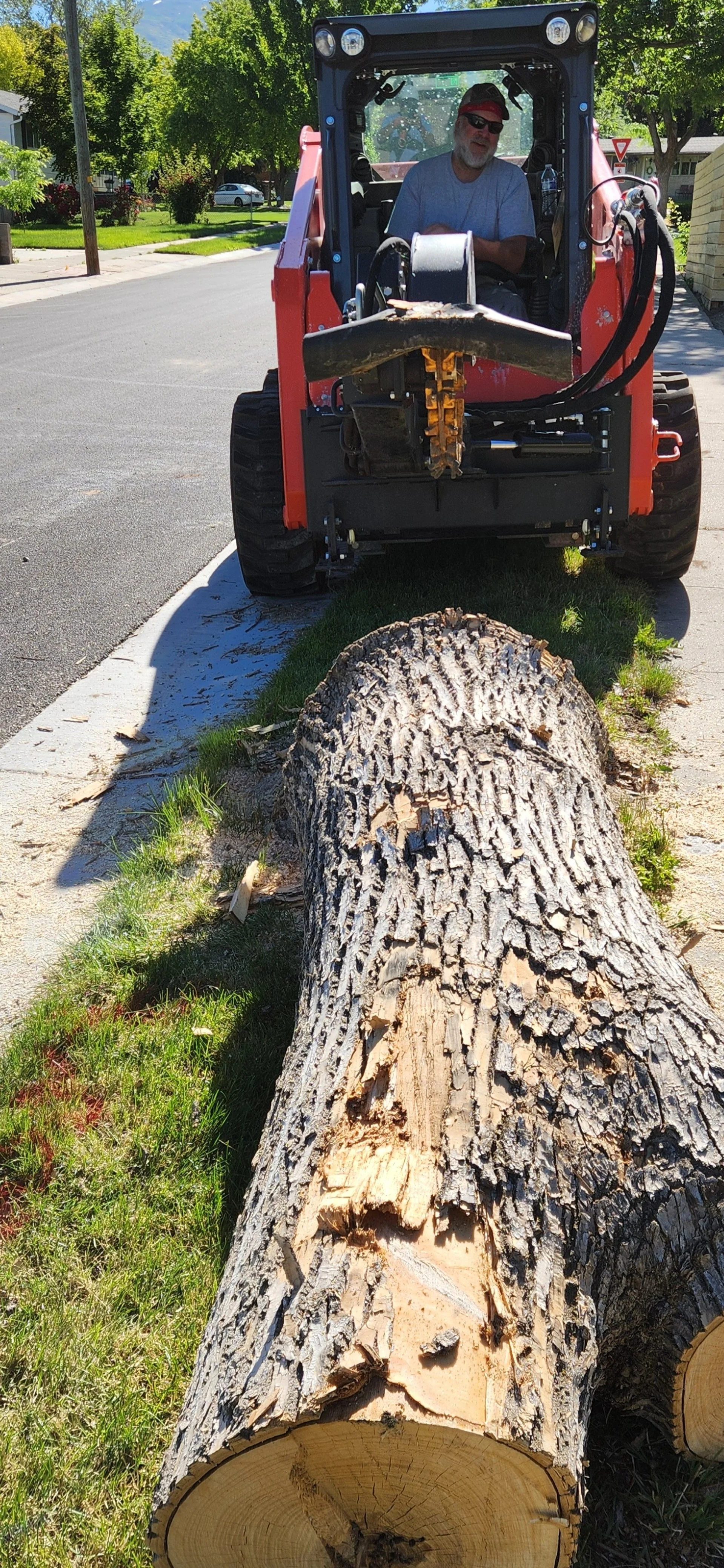 Stump Grinding