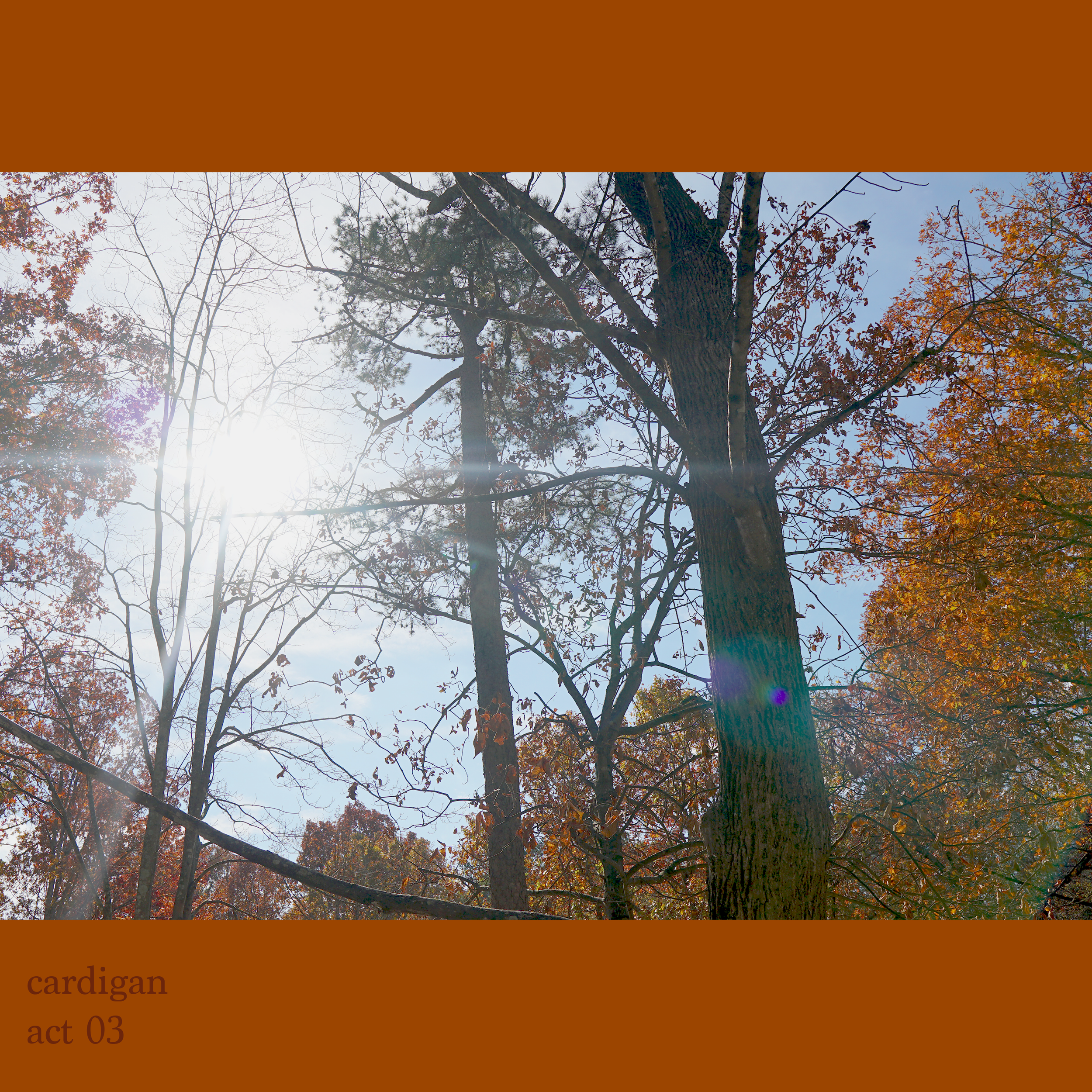 act 03 cover art.png