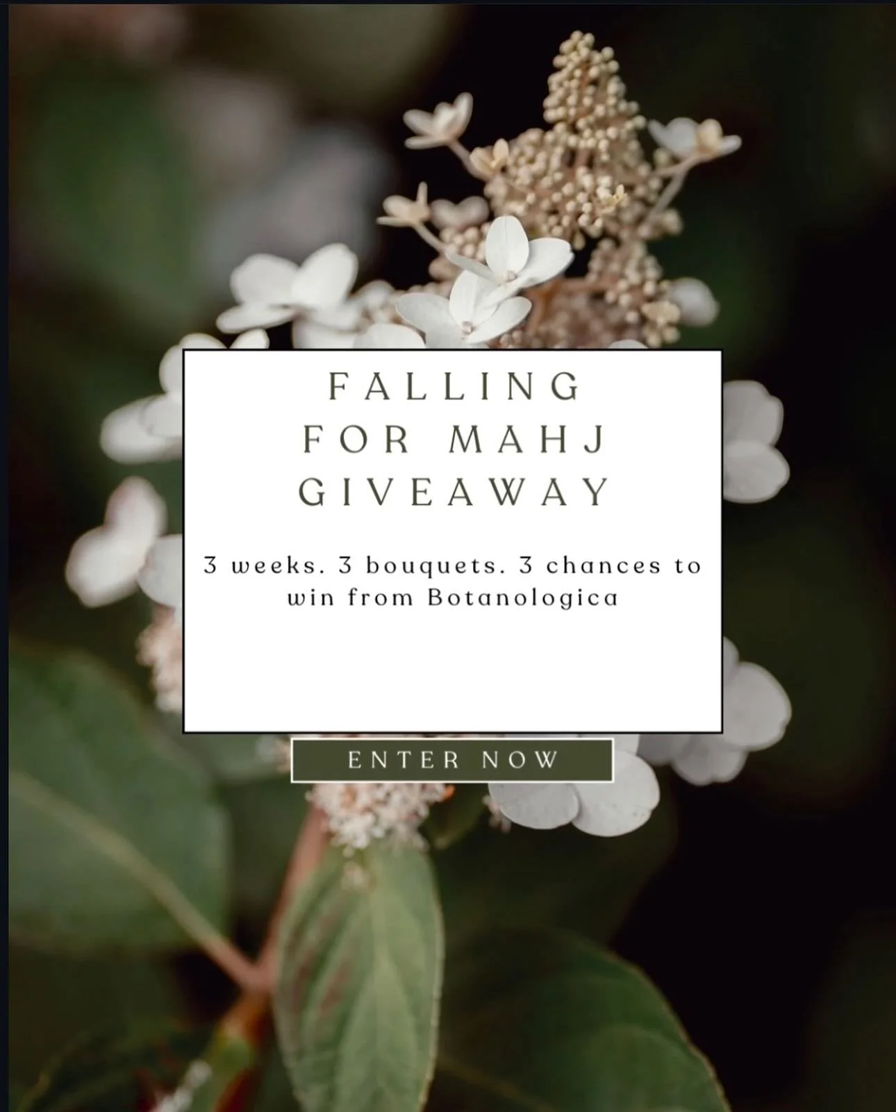 🍁 FALLING FOR MAHJ GIVEAWAY // WEEK 1

We&rsquo;re celebrating the cozy season with a little fun and flowers! 🌸 Each week for the next three weeks, we&rsquo;re teaming up with our friends at @botanologica to give away a beautiful fall bouquet.

Eac