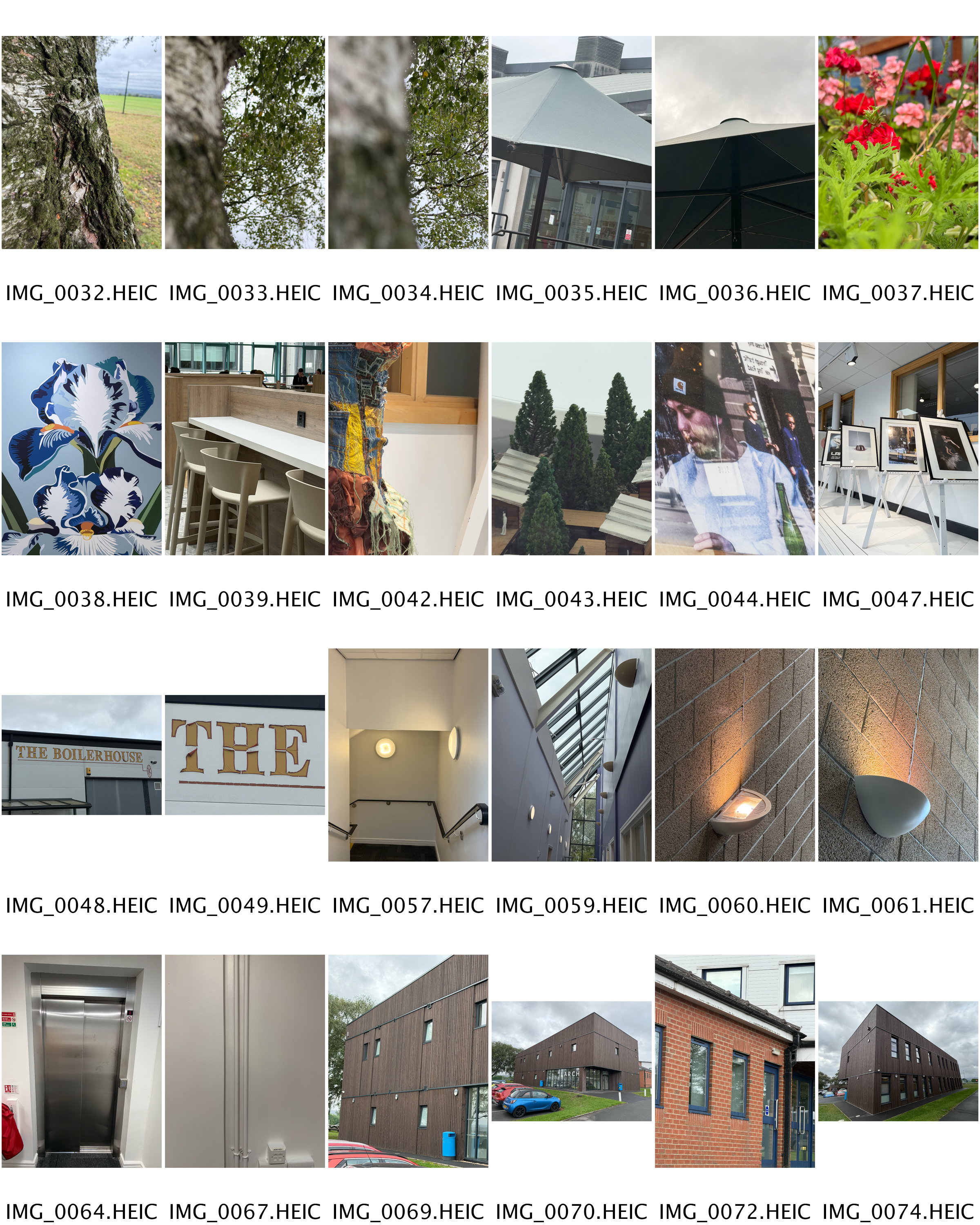 A collage of architectural and urban scenes including trees, building exteriors, windows, a staircase, an elevator, and flowers.