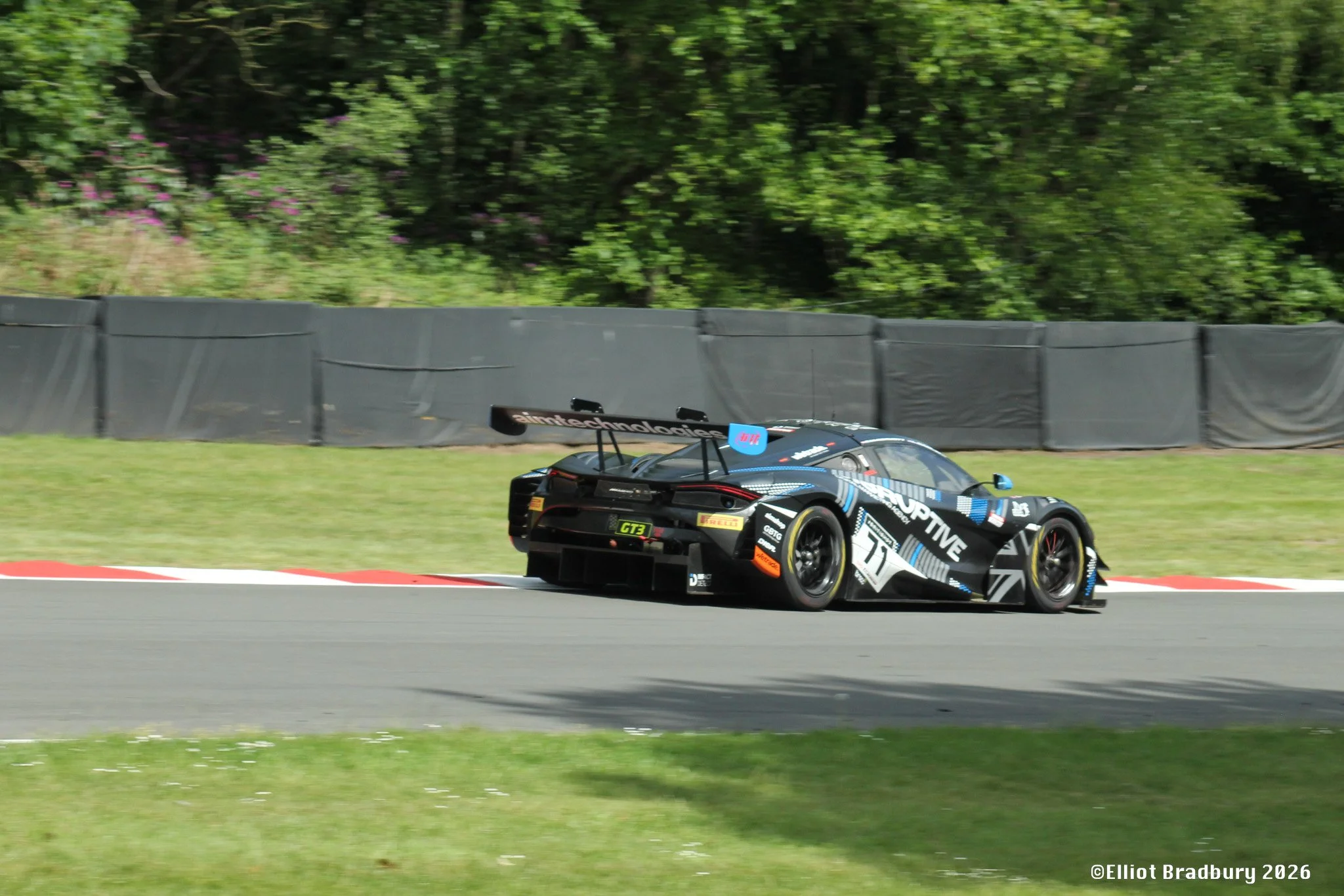 A black racing car on a track, with green trees and bushes in the background, and a gray barrier separating the track from the foliage.