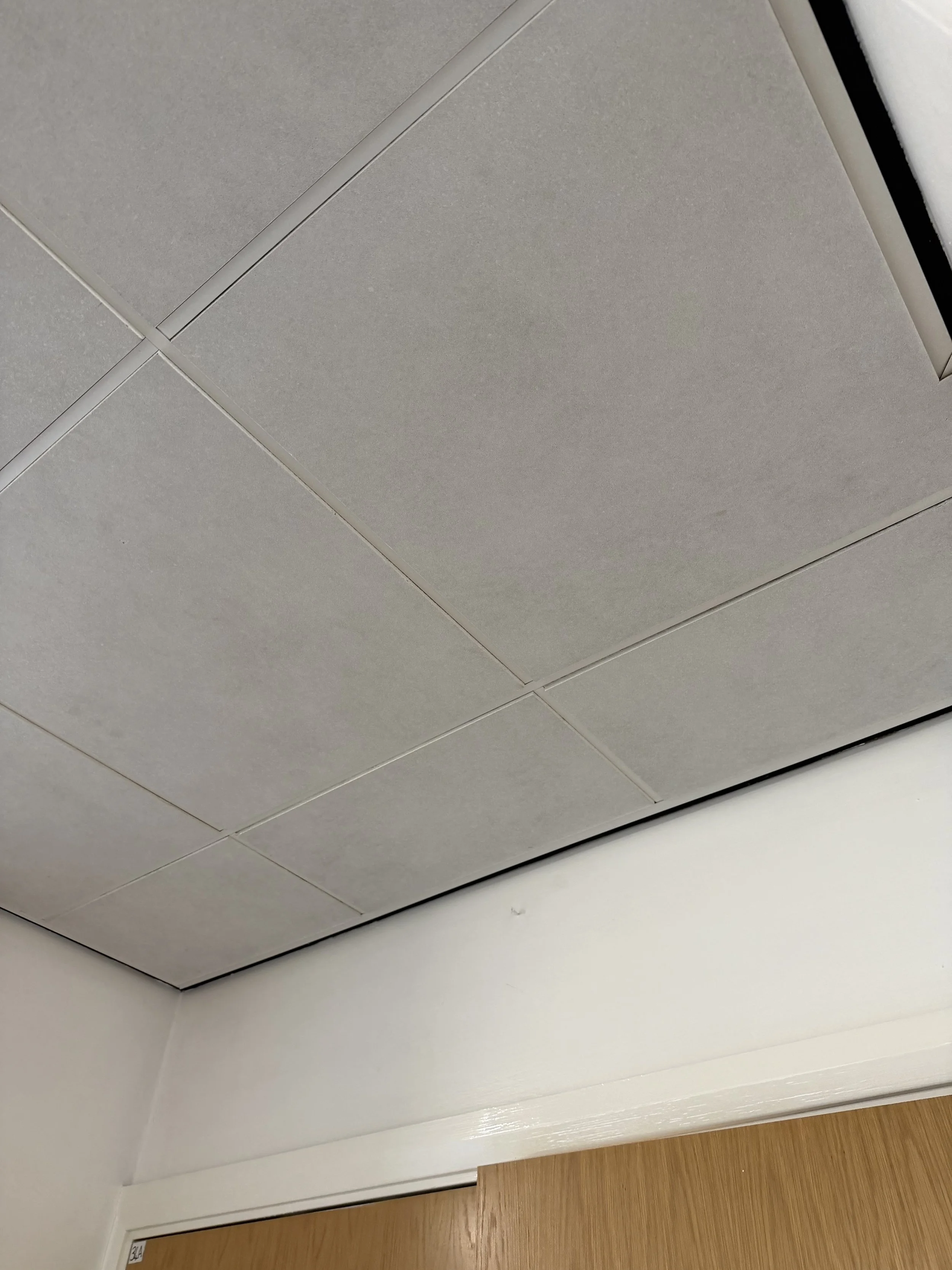 Ceiling with gray acoustic tiles and a corner of a wooden door.