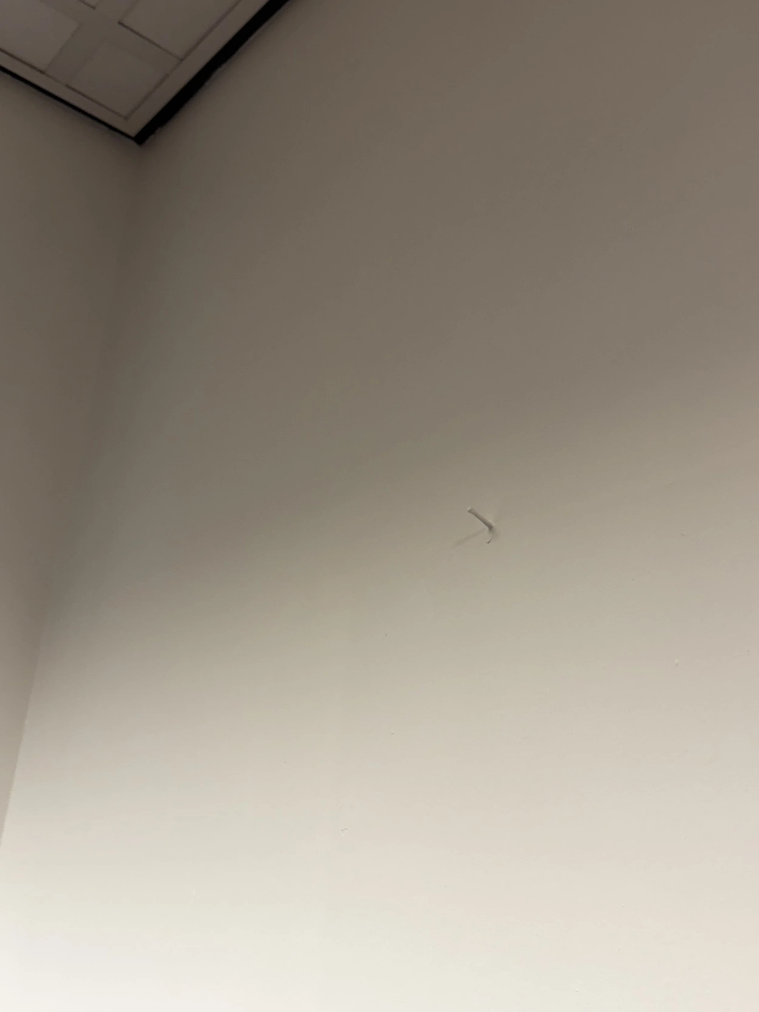 Blank white ceiling with a small, discolored crack or mark.