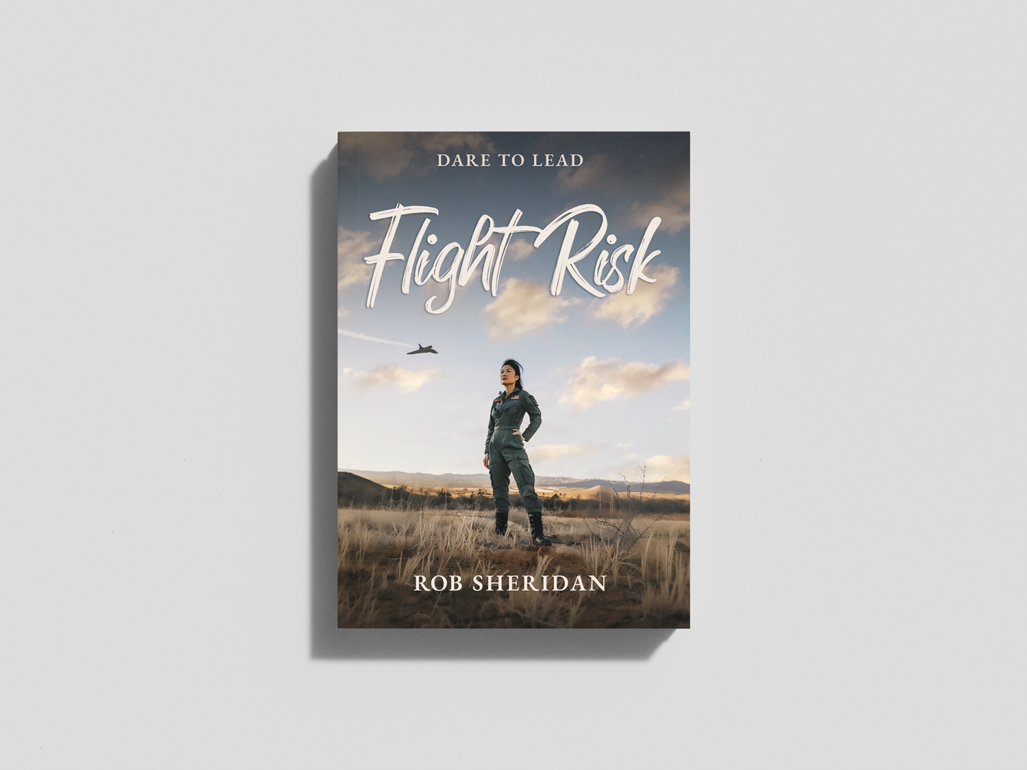 flightrisk-book-mockup2.png
