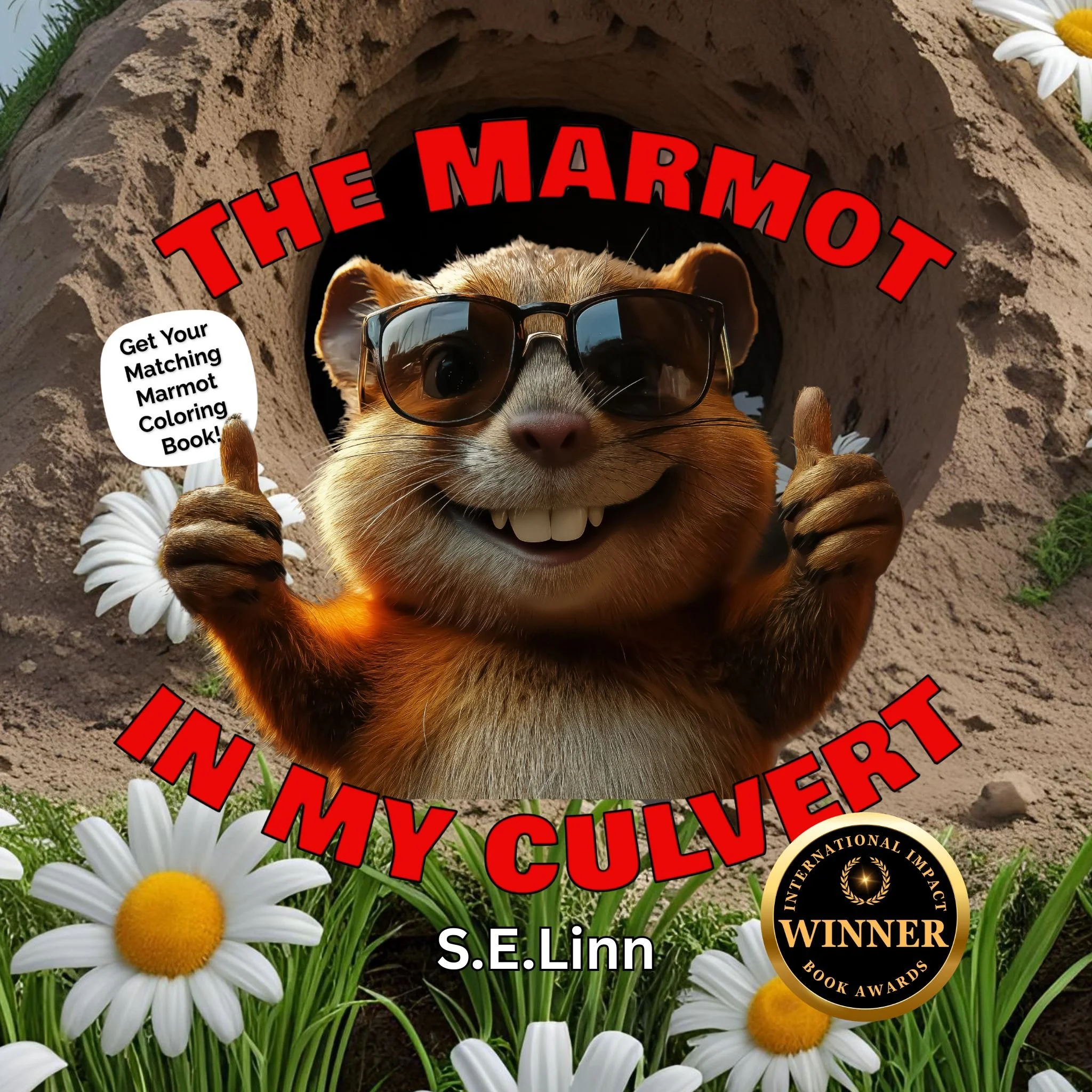 The Marmot in My Culvert