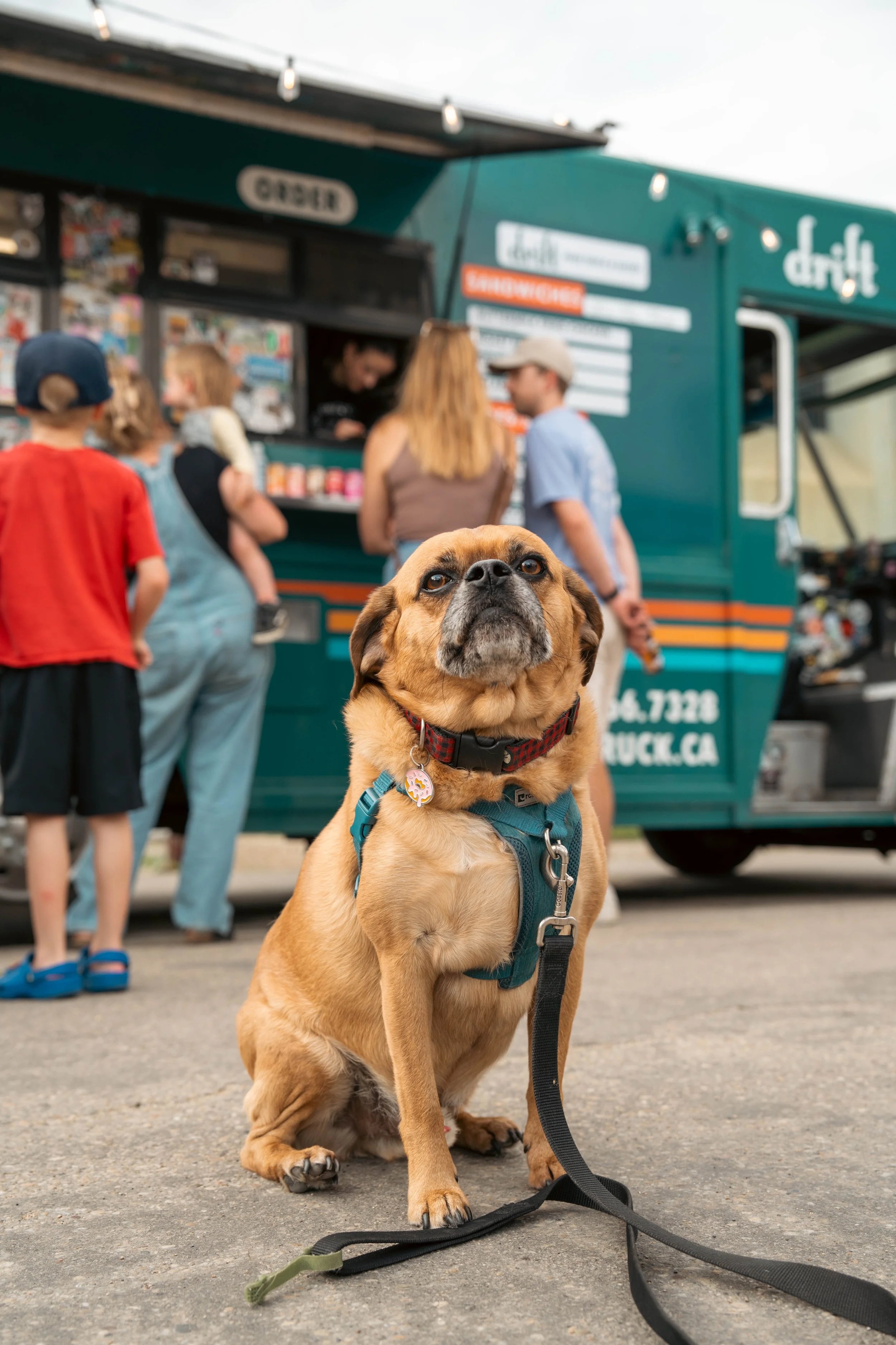 driftfoodtruck-190.jpg
