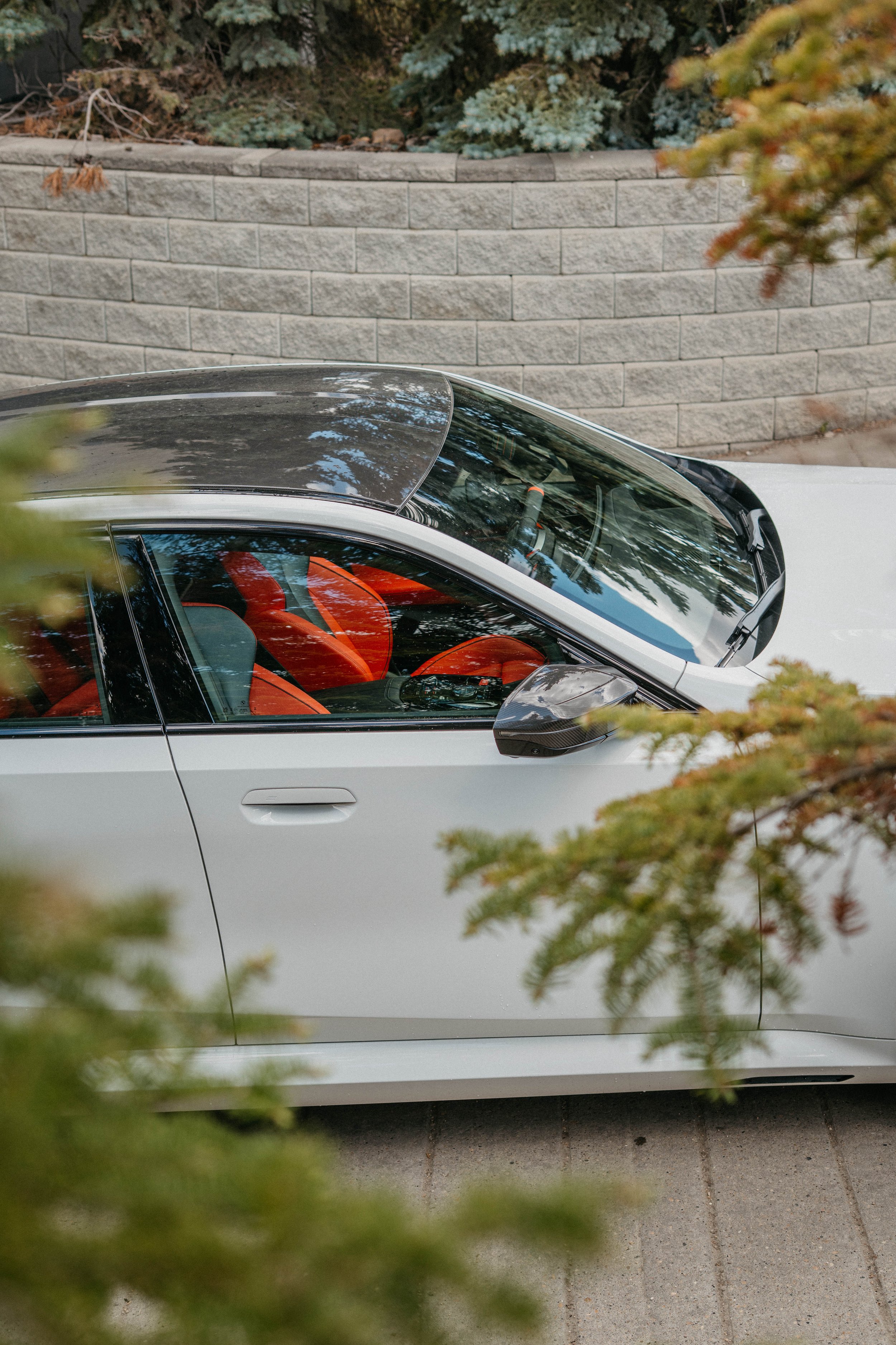 2027m5-7.jpg