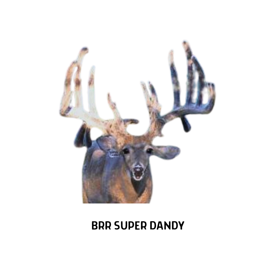 9.png