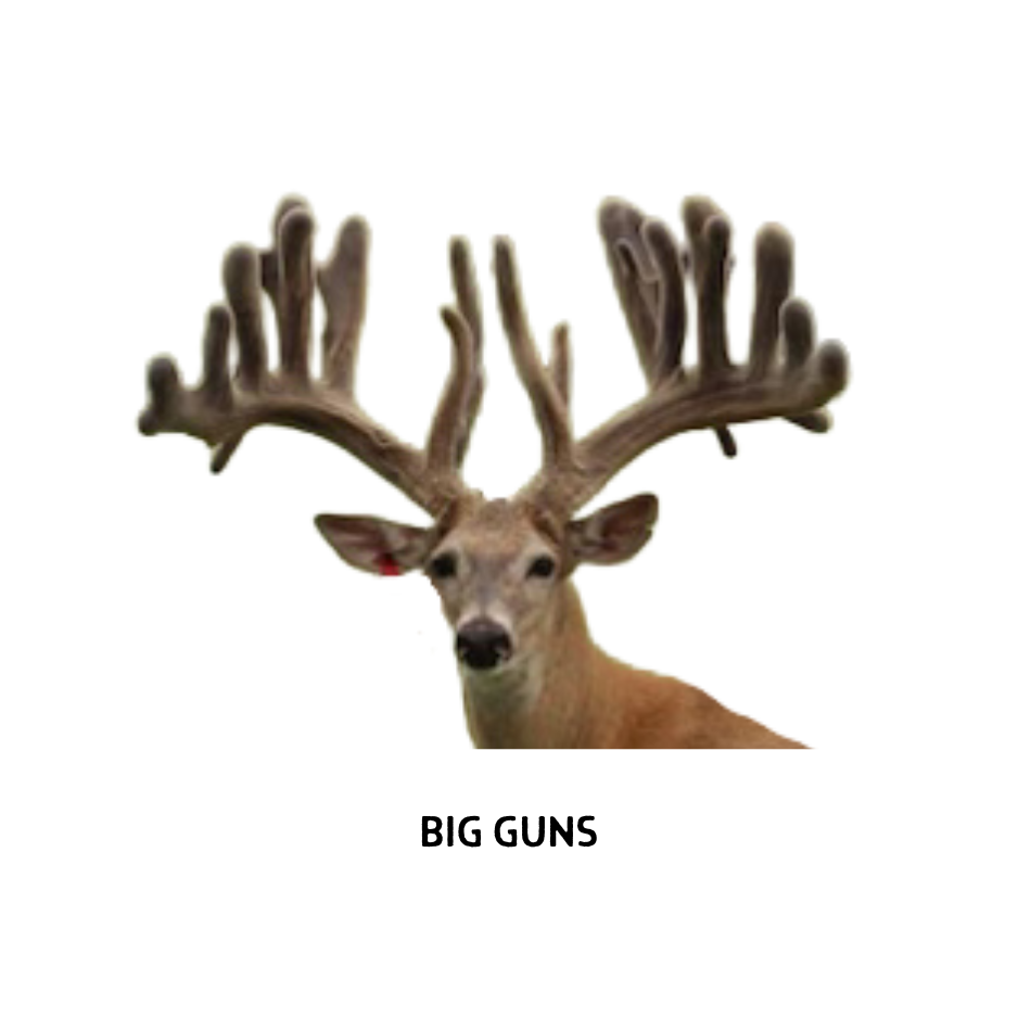 20.png