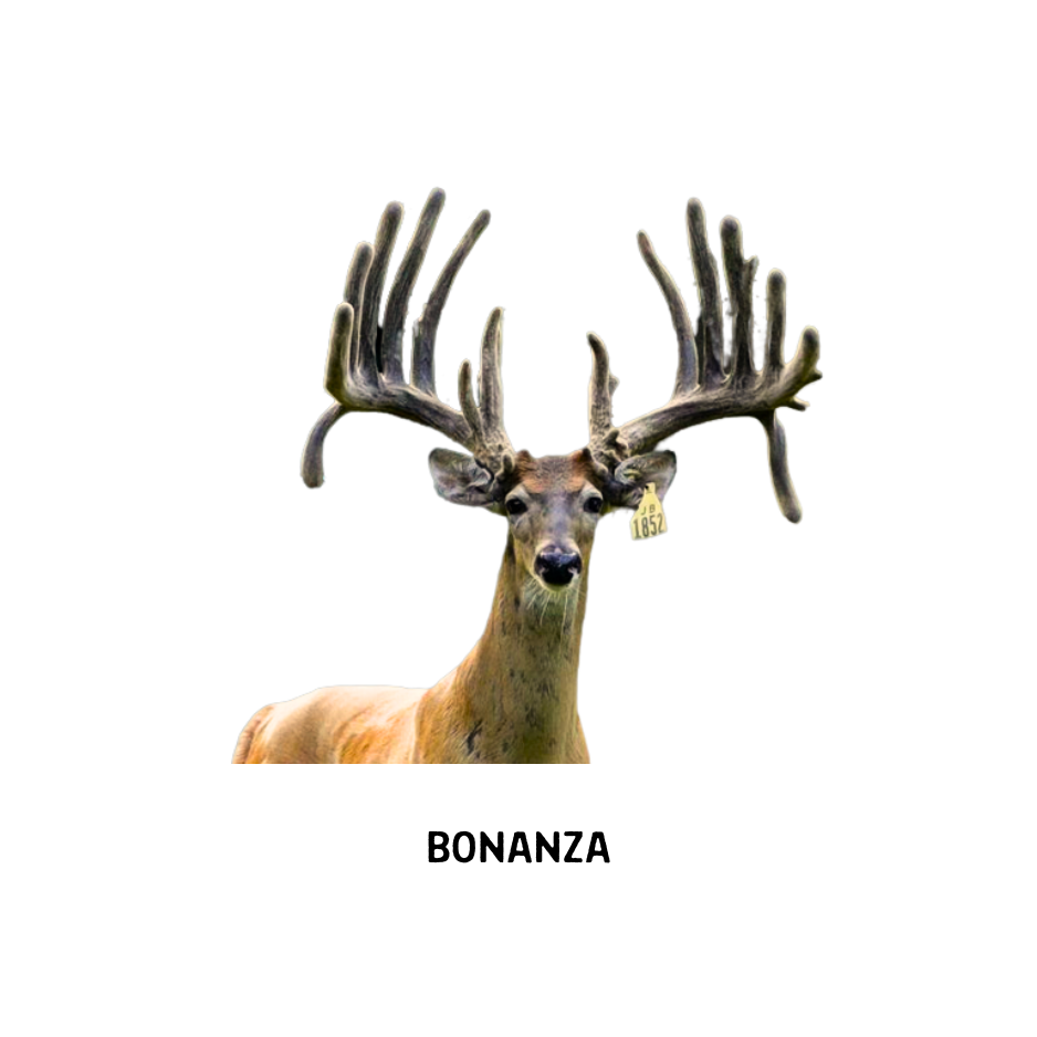 18.png
