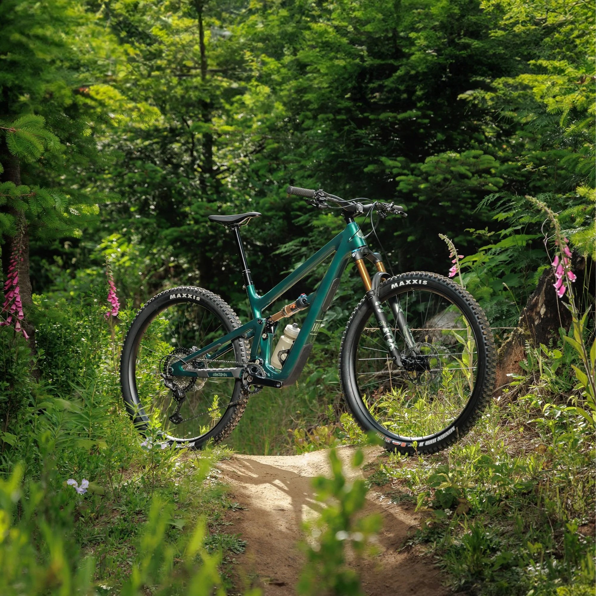 Ibis-Ripley-V5-Swamp-Monster-Green+%283%29.jpg