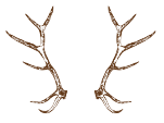 Minimalist brown antler illustration logo for Antlers Excavating.