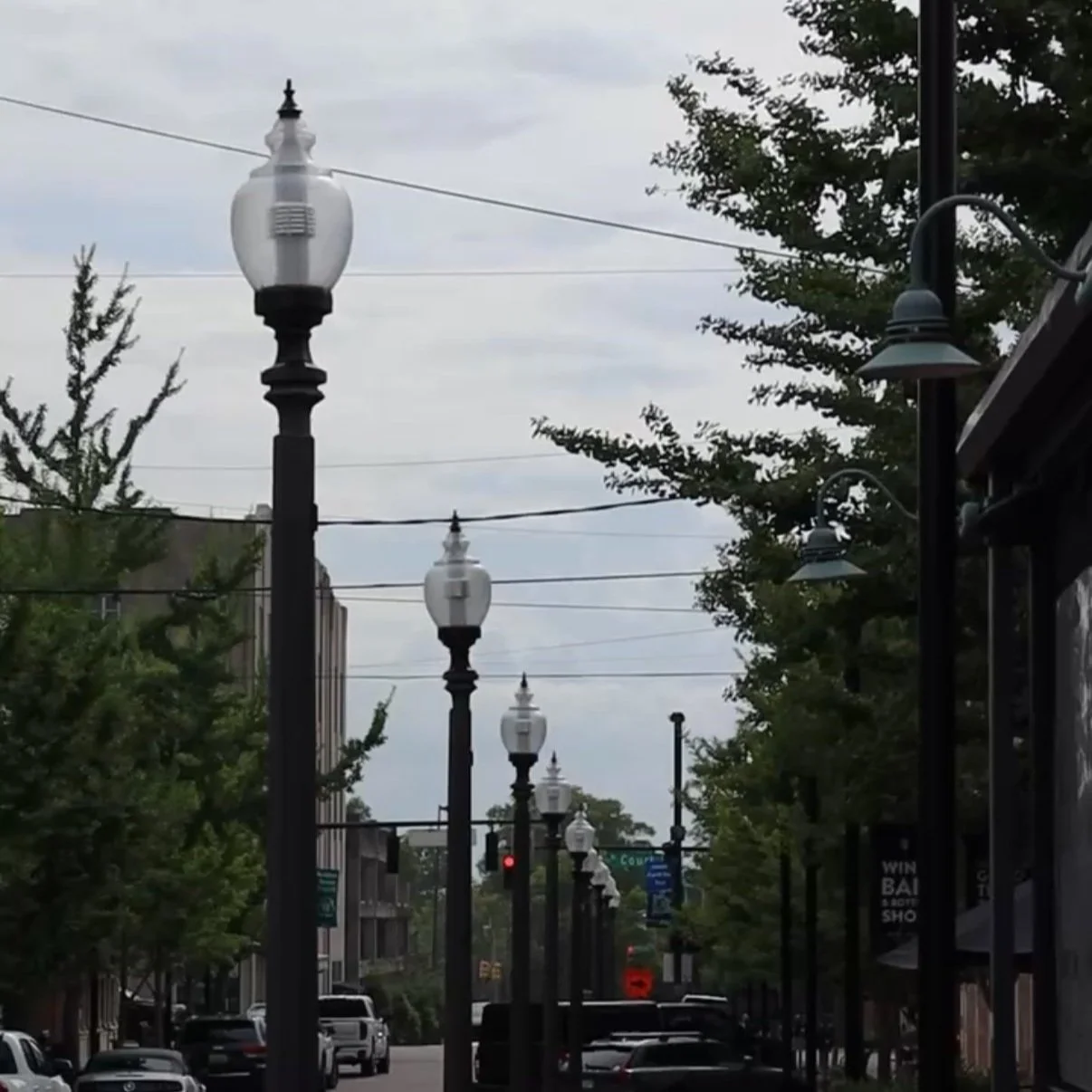 Street view with vintage-style lampposts, trees, and buildings on a cloudy day.