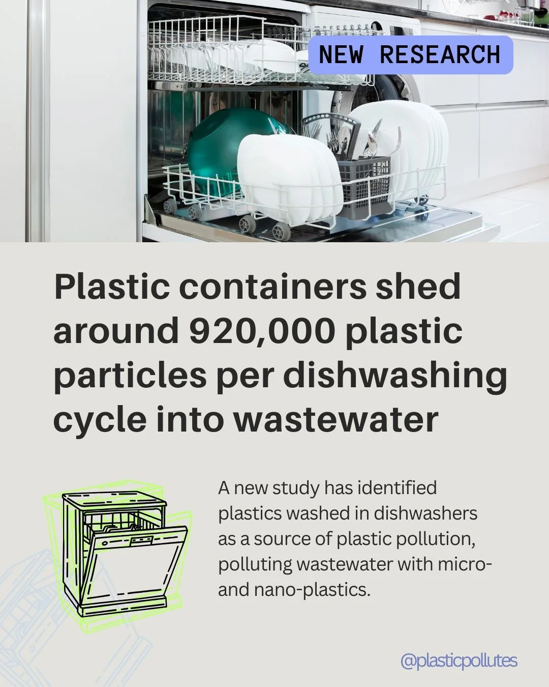 Social Media Content for Plastic Pollution Coalition, Canva