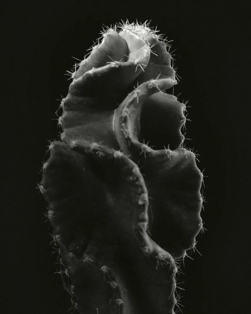 Therapy Blog Template: This H1 should be 50-60 characters!