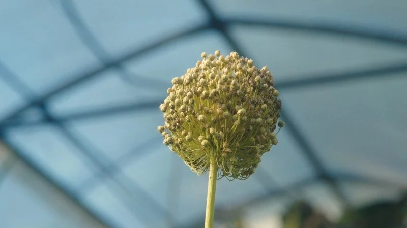 Pattern Psychotherapy Therapy Resources Blog