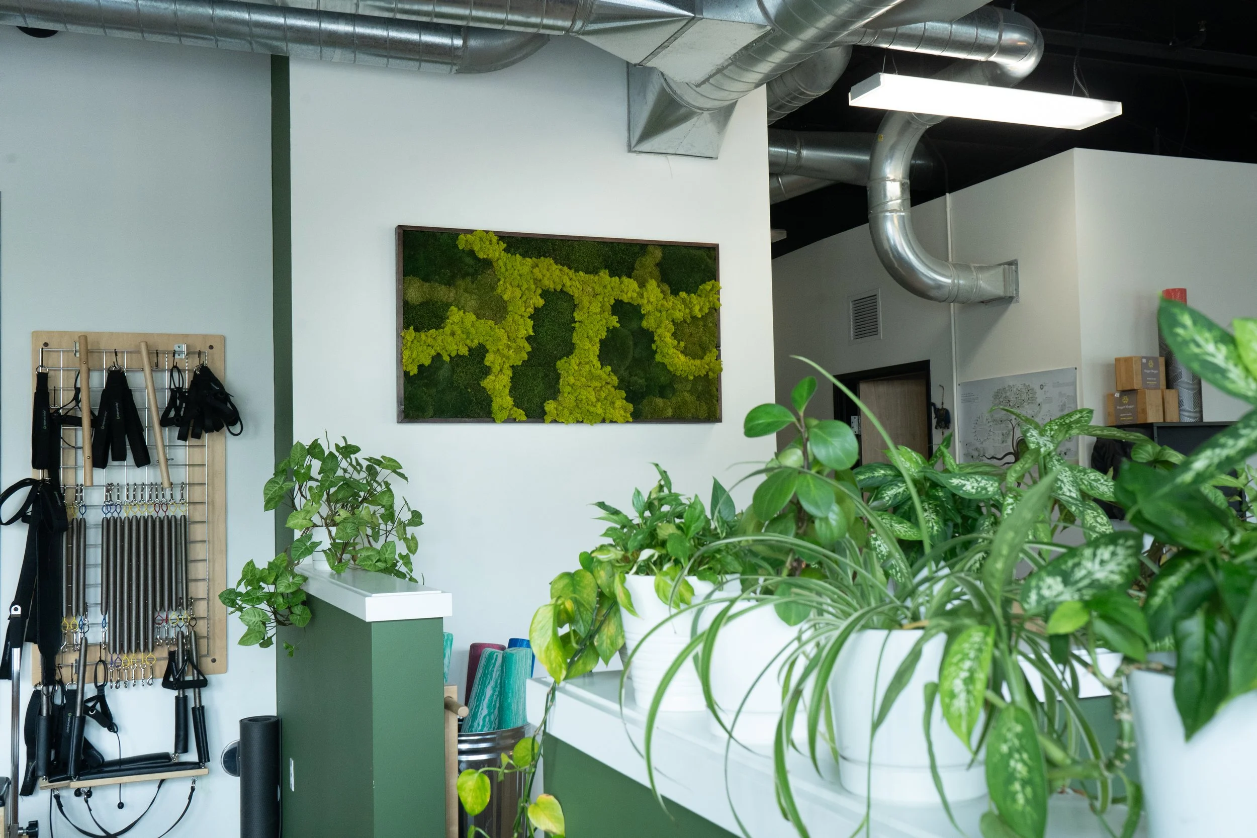 'Serenity' | Vivid reindeer moss contrasted with muted forest tones brings a grounded, calming feel to any space.