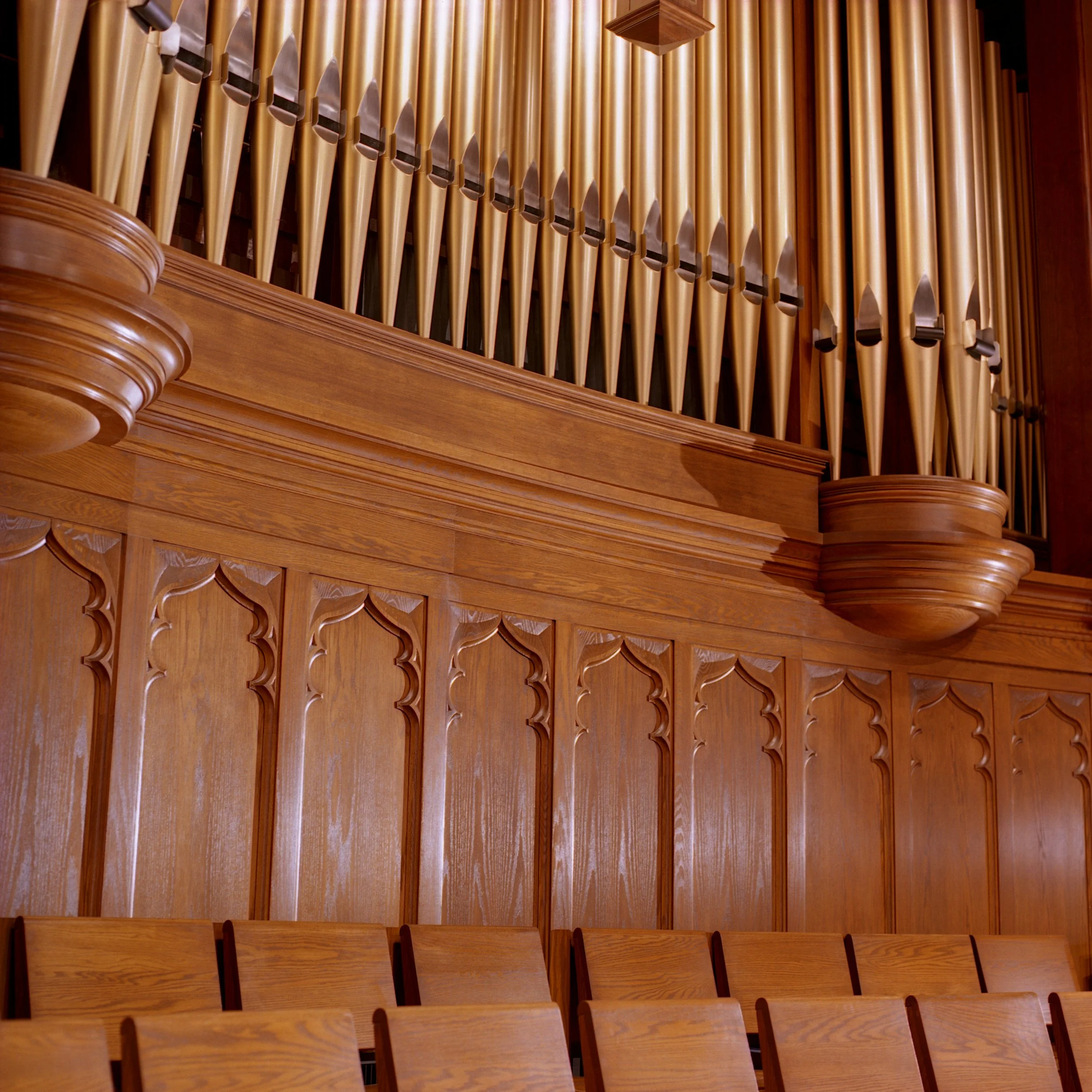 Organ Case Detail