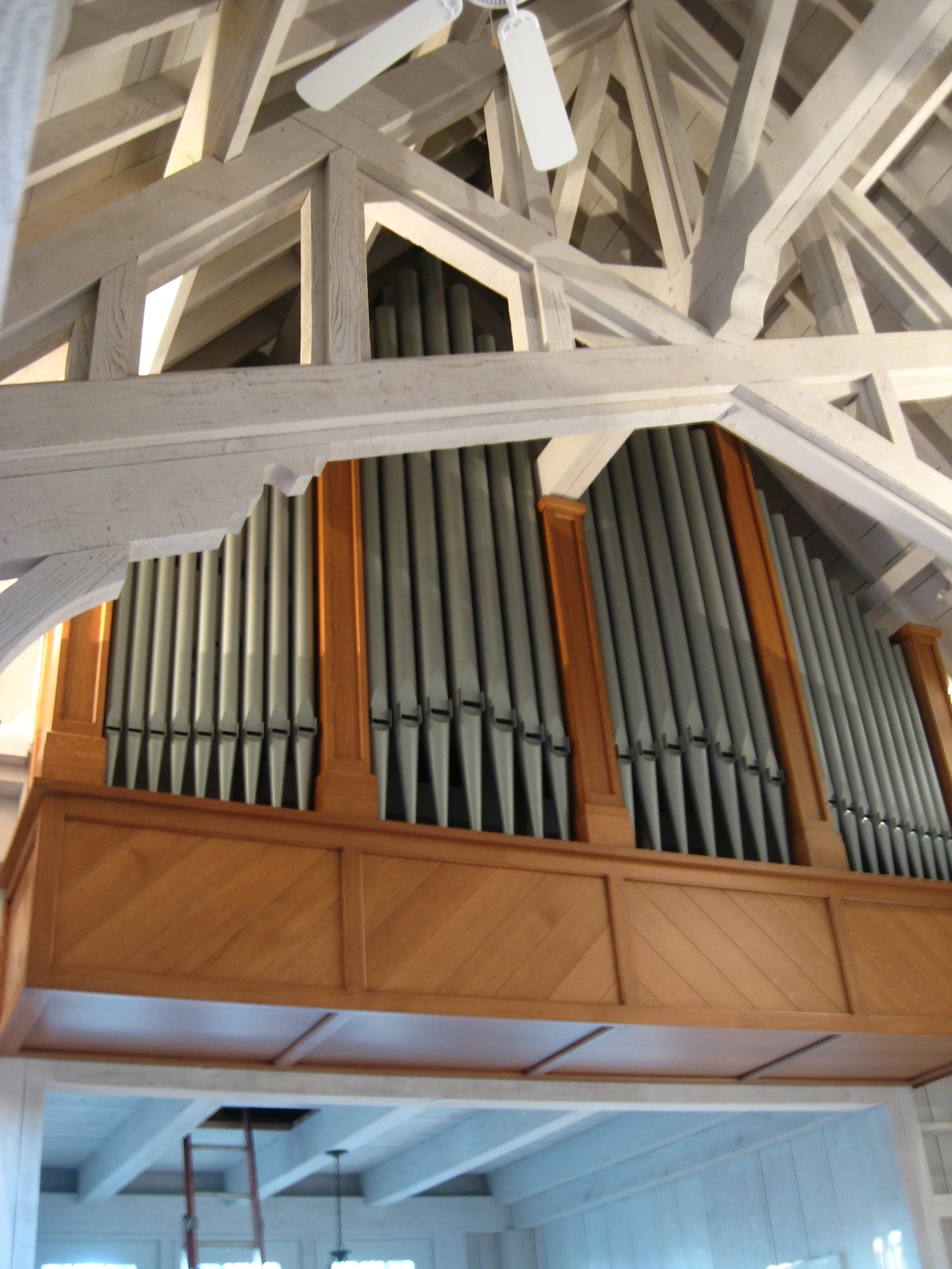 Main Organ Case