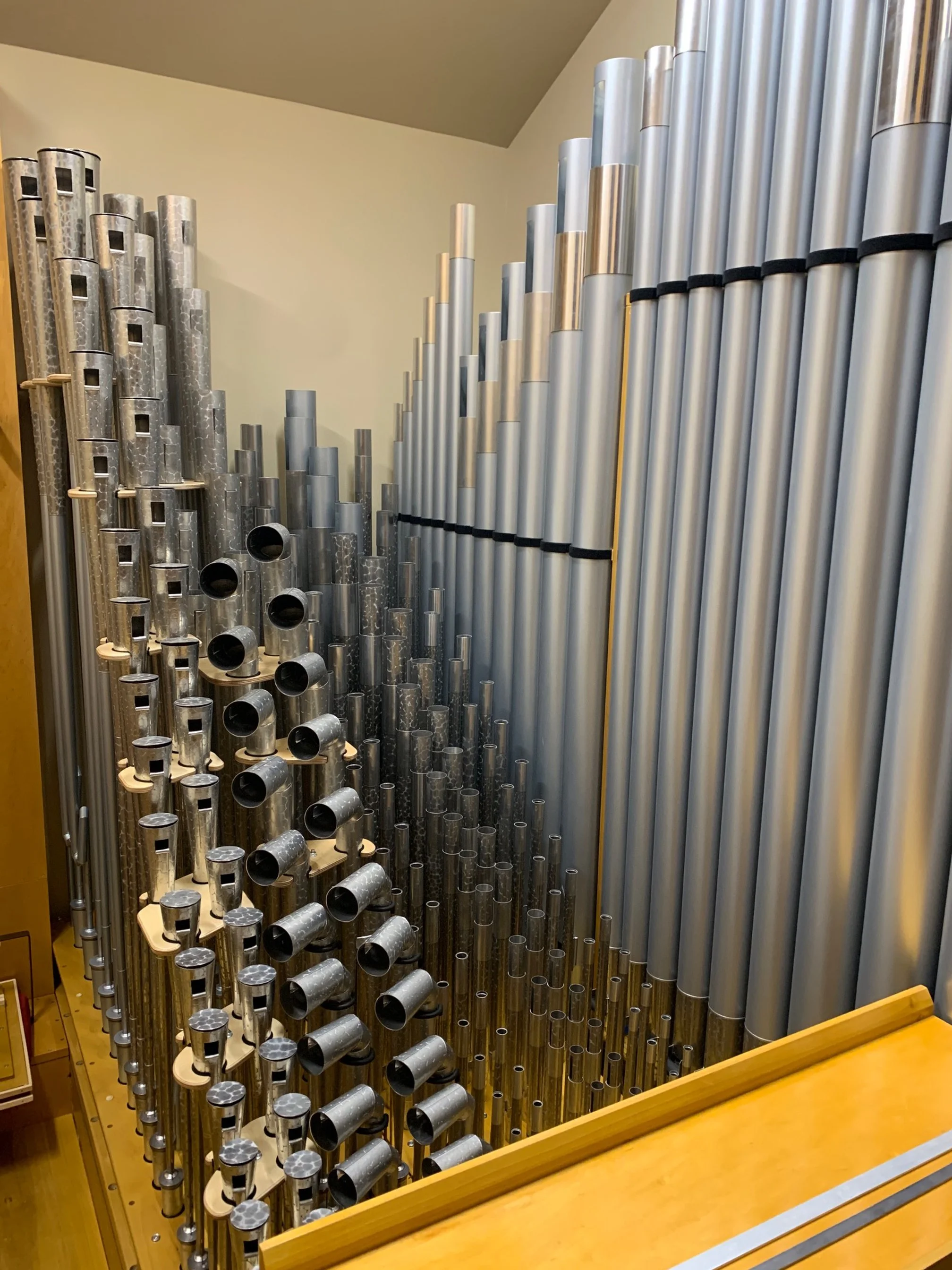 Swell Reeds and Basses