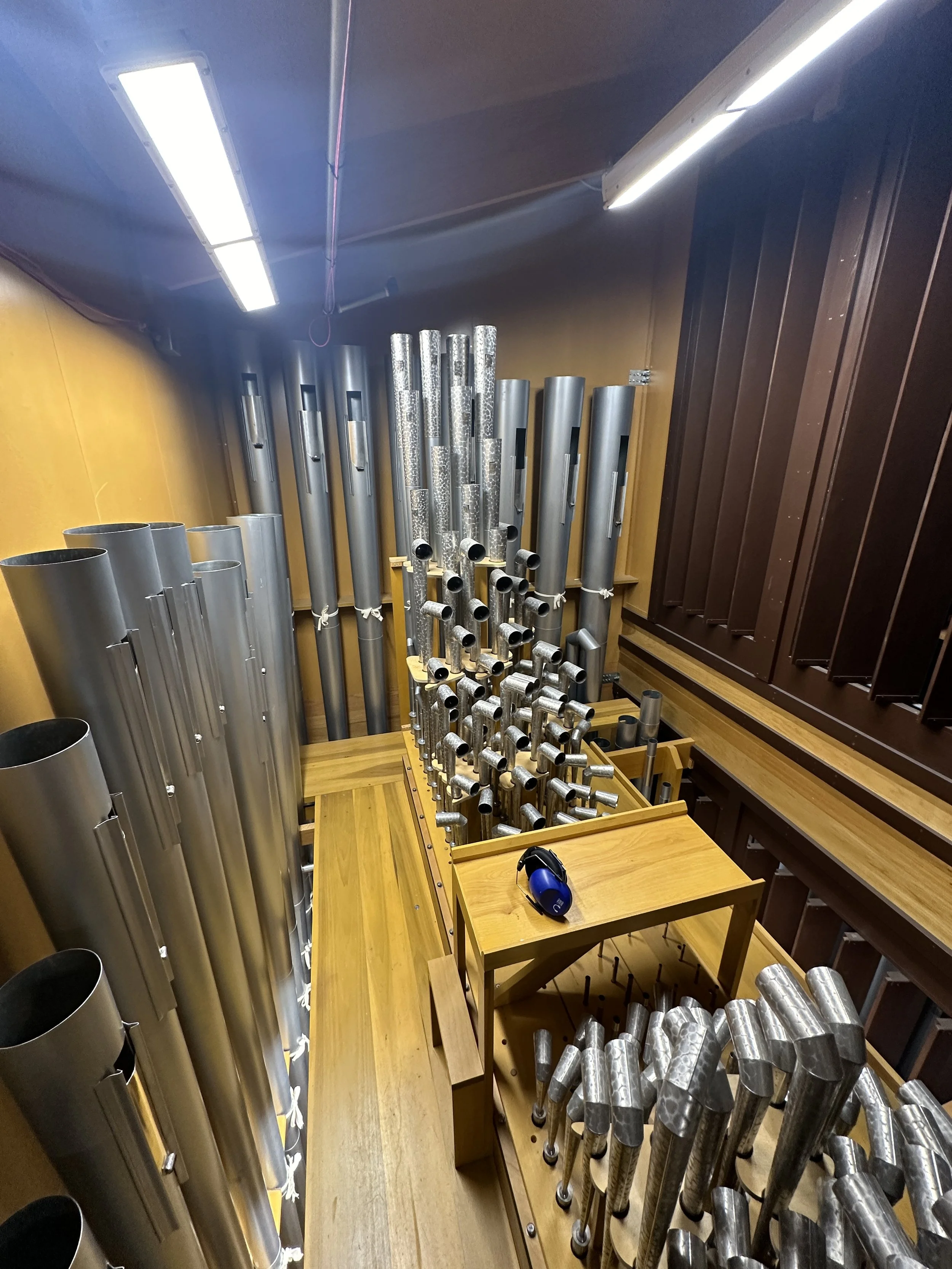 Swell English Reed Chorus