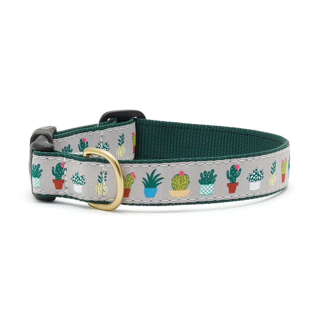 Planted Dog Collar
