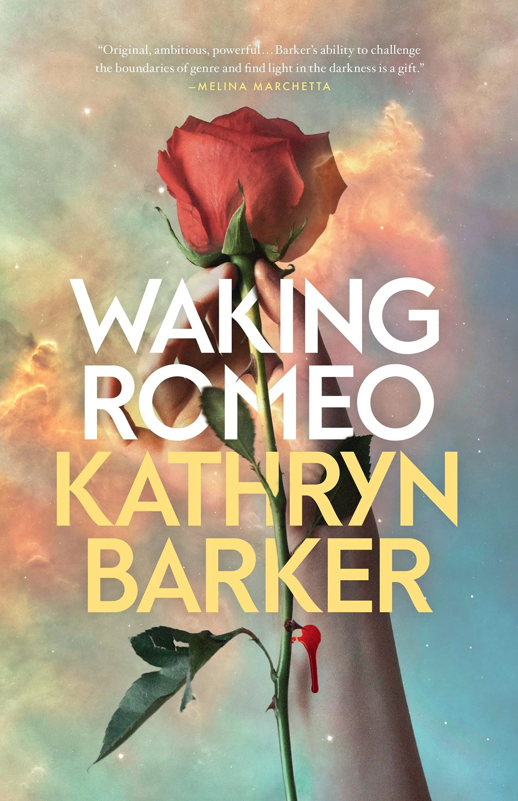 “Waking Romeo” by Kathryn Barker: Losing The Love of Your Life (BOOK REVIEW)