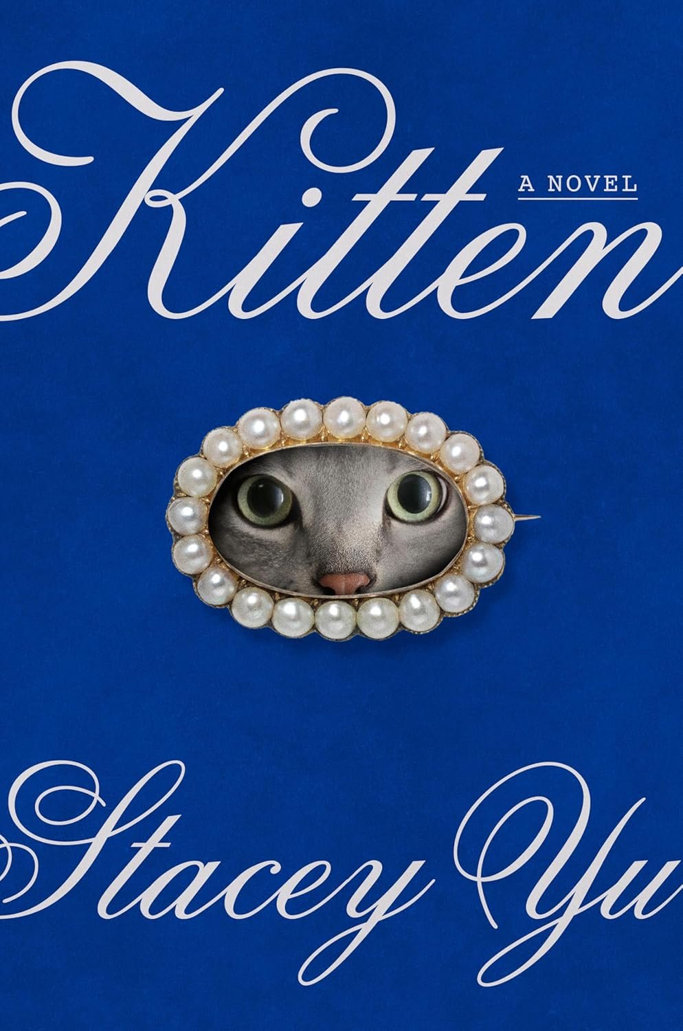 “Kitten” by Stacey Yu: The Purrfection of Living Uncertainly (BOOK REVIEW)