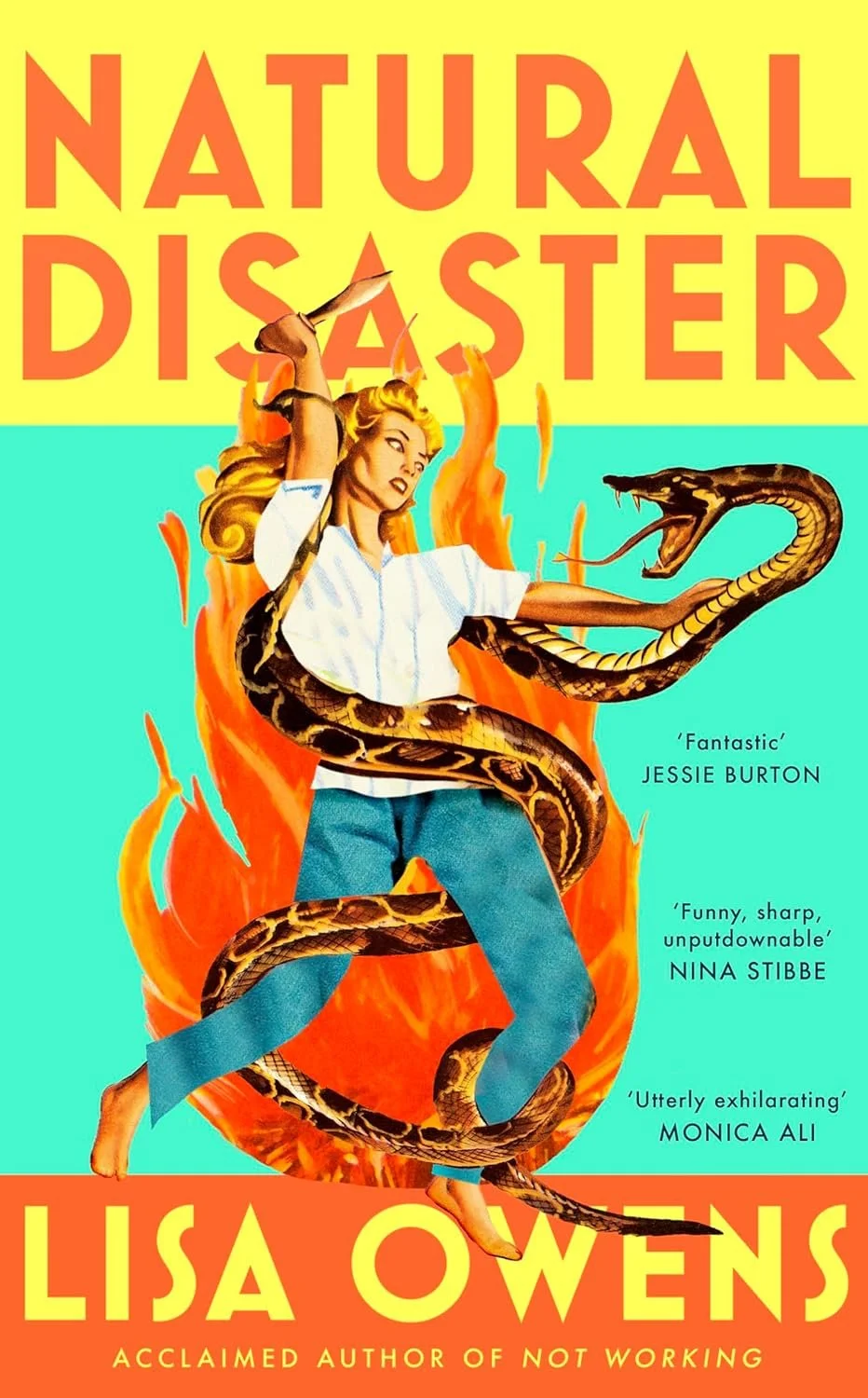 “Natural Disaster” by Lisa Owens: Motherhood At Its Realest (BOOK REVIEW)