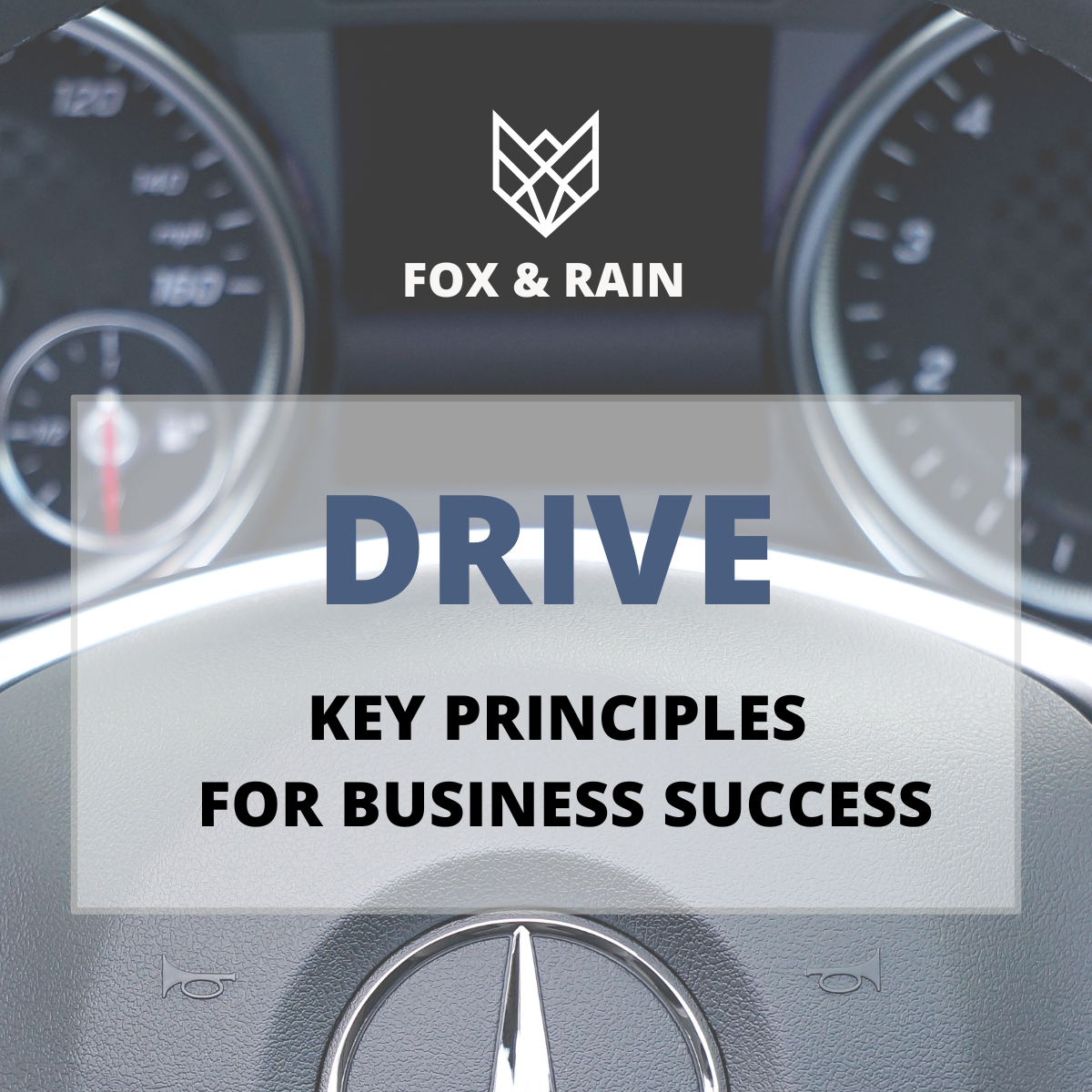 Organizational D.R.I.V.E.