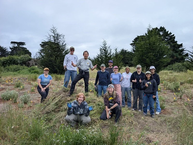 Volunteer Work Day