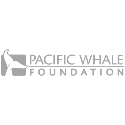 Pacific Whale Foundation.png