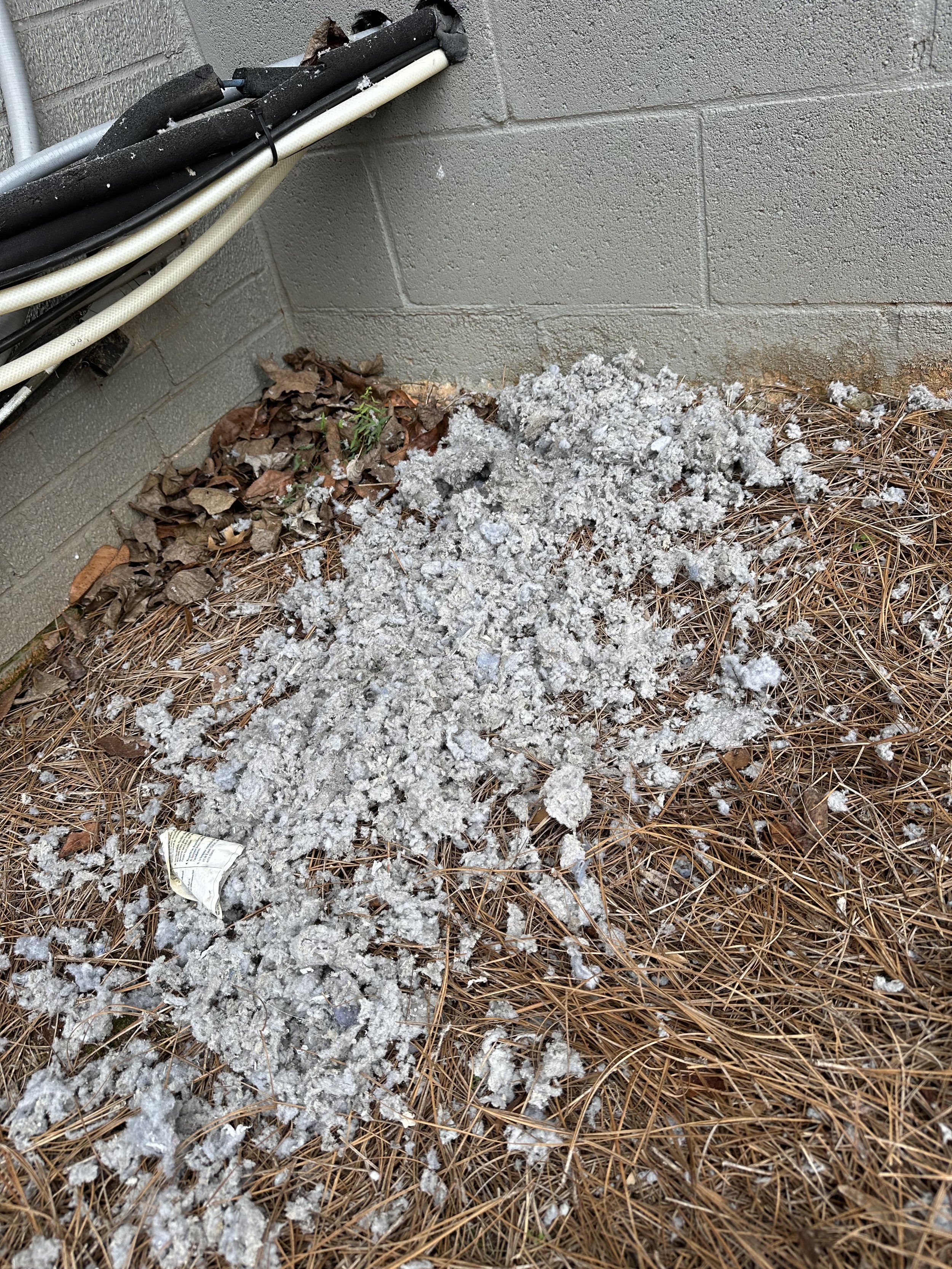 A pile of lent cleaned out of a dryer vent by our skilled team.  This dryer vent was greatly clogged.